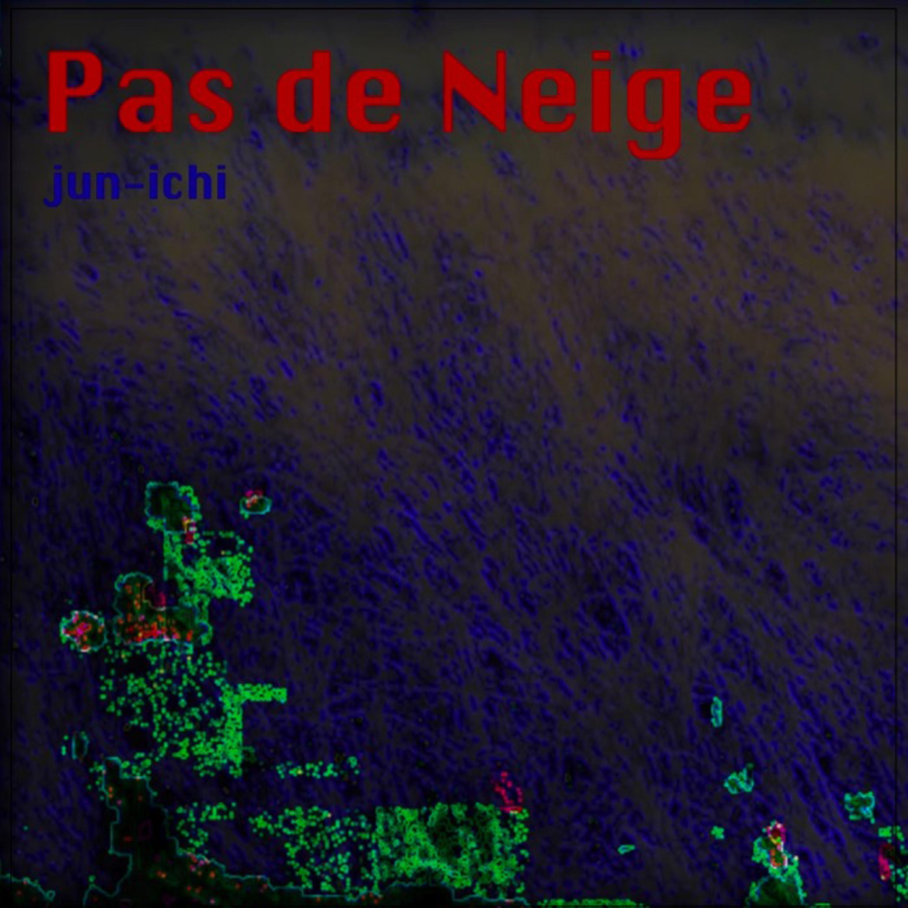 Постер альбома Pas De Neige
