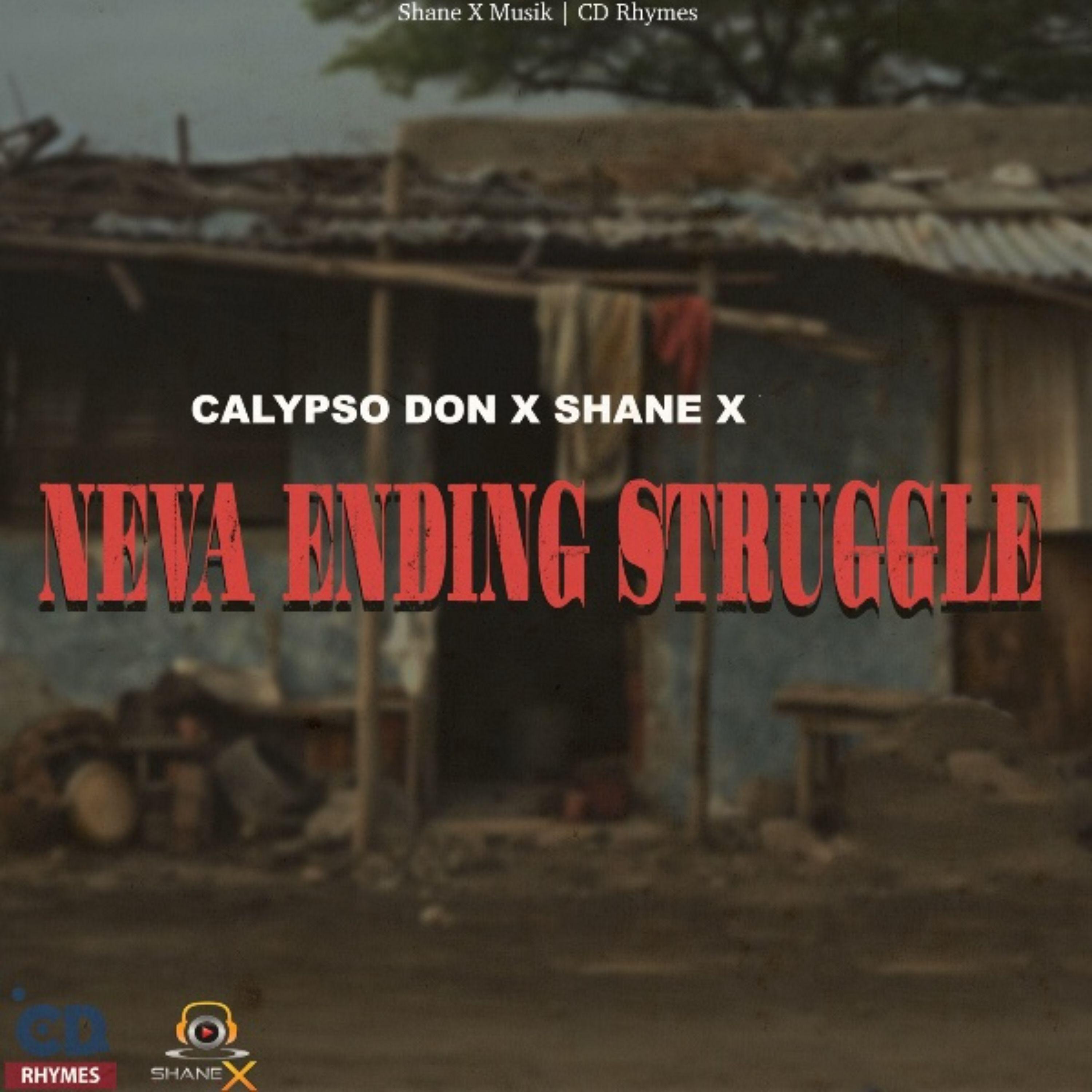 Постер альбома Neva Ending Struggle