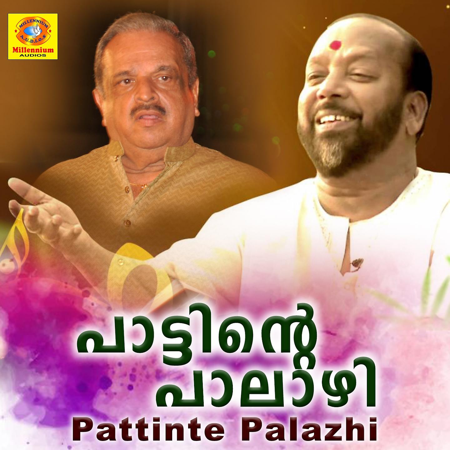 Постер альбома Pattinte Palazhi