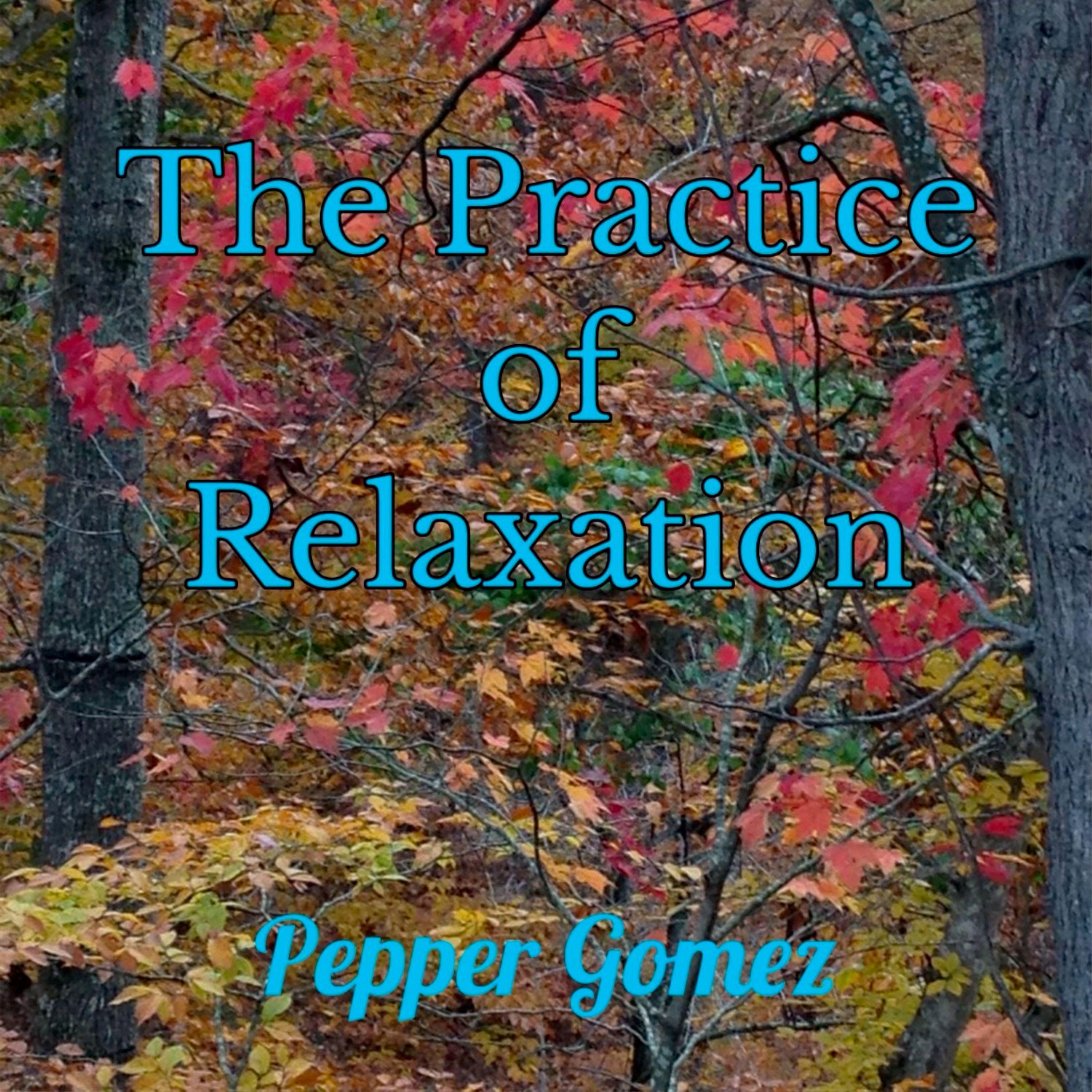Постер альбома The Practice of Relaxation