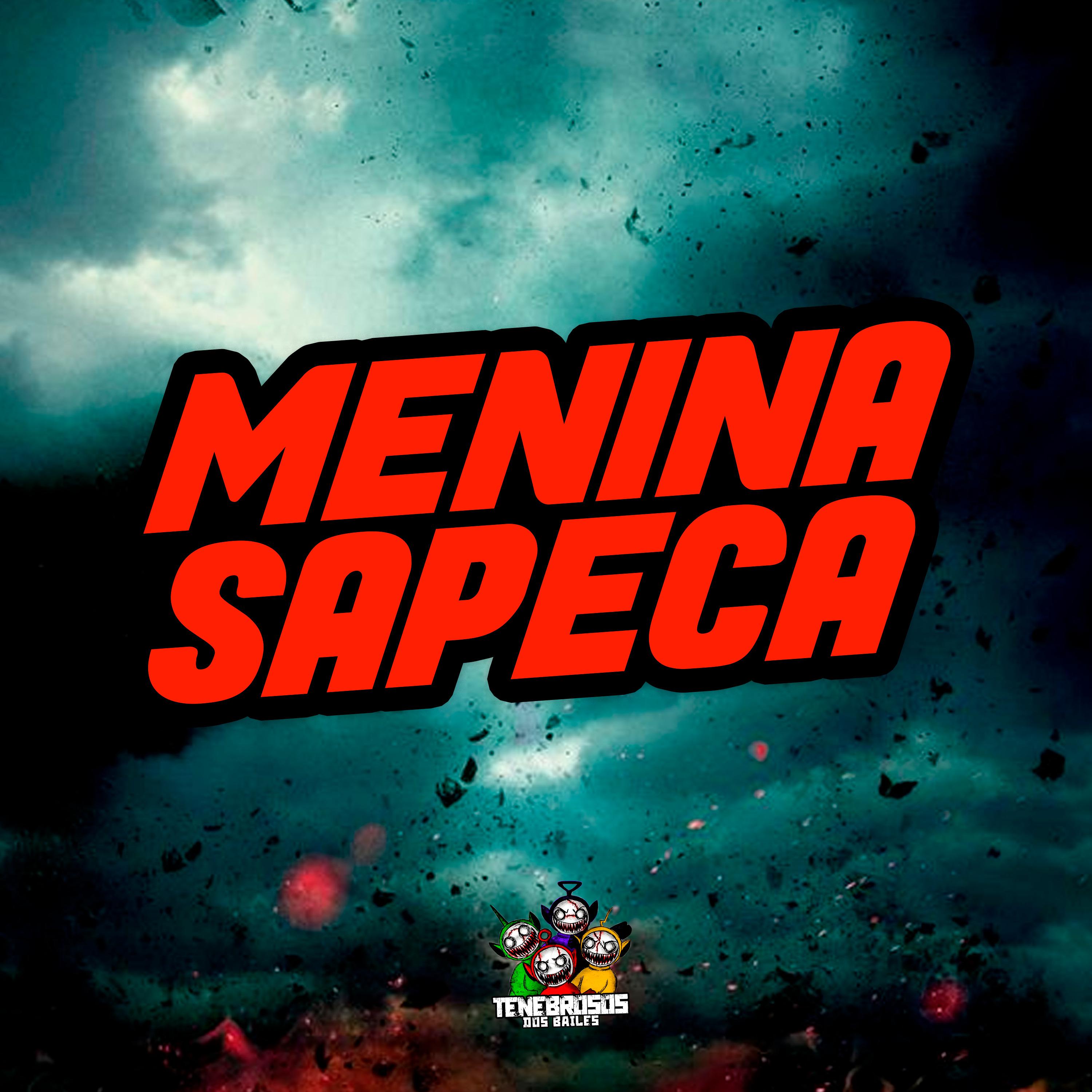 Постер альбома Menina Sapeca
