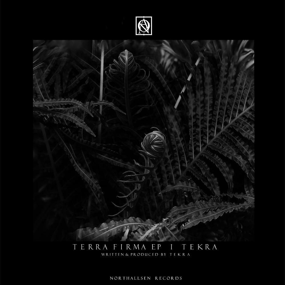 Постер альбома Terra Firma