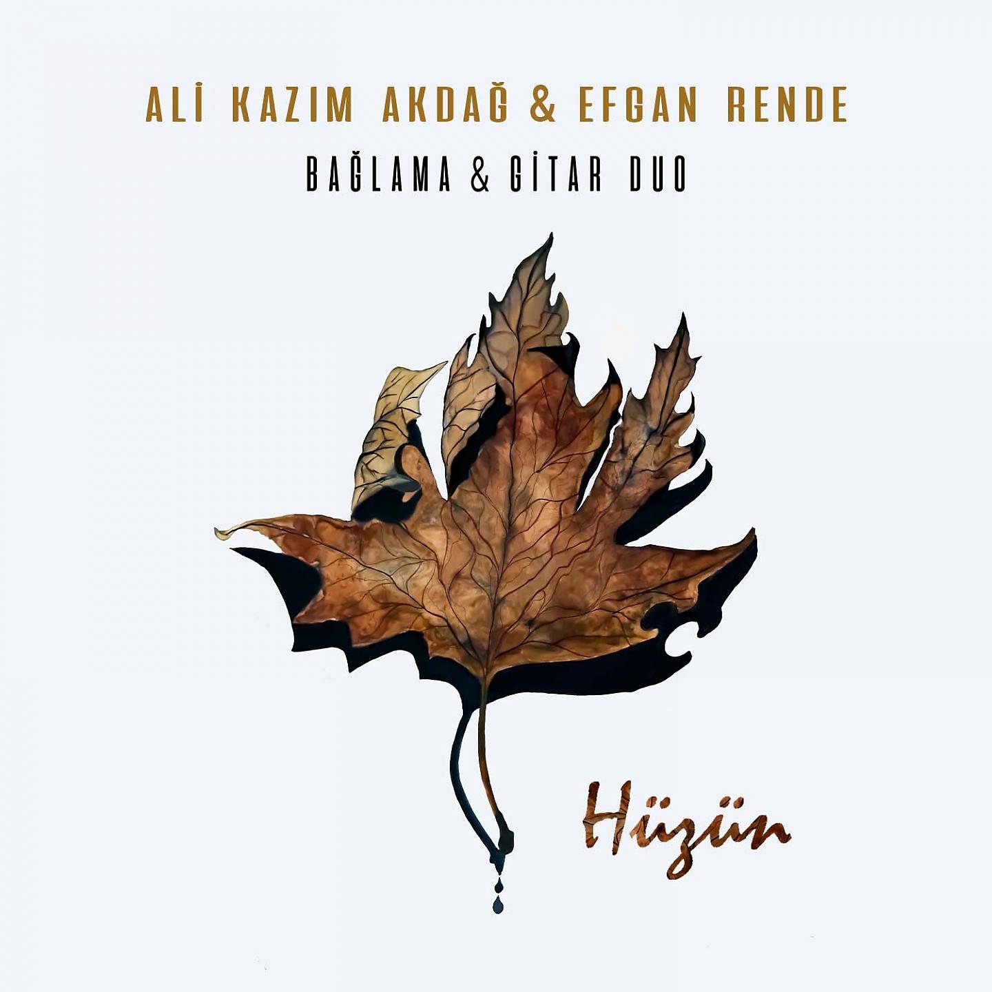 Постер альбома Hüzün