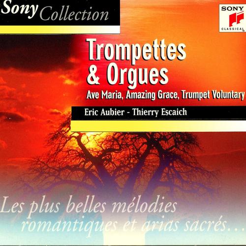 Постер альбома Trompettes et orgues, trumpet and organ