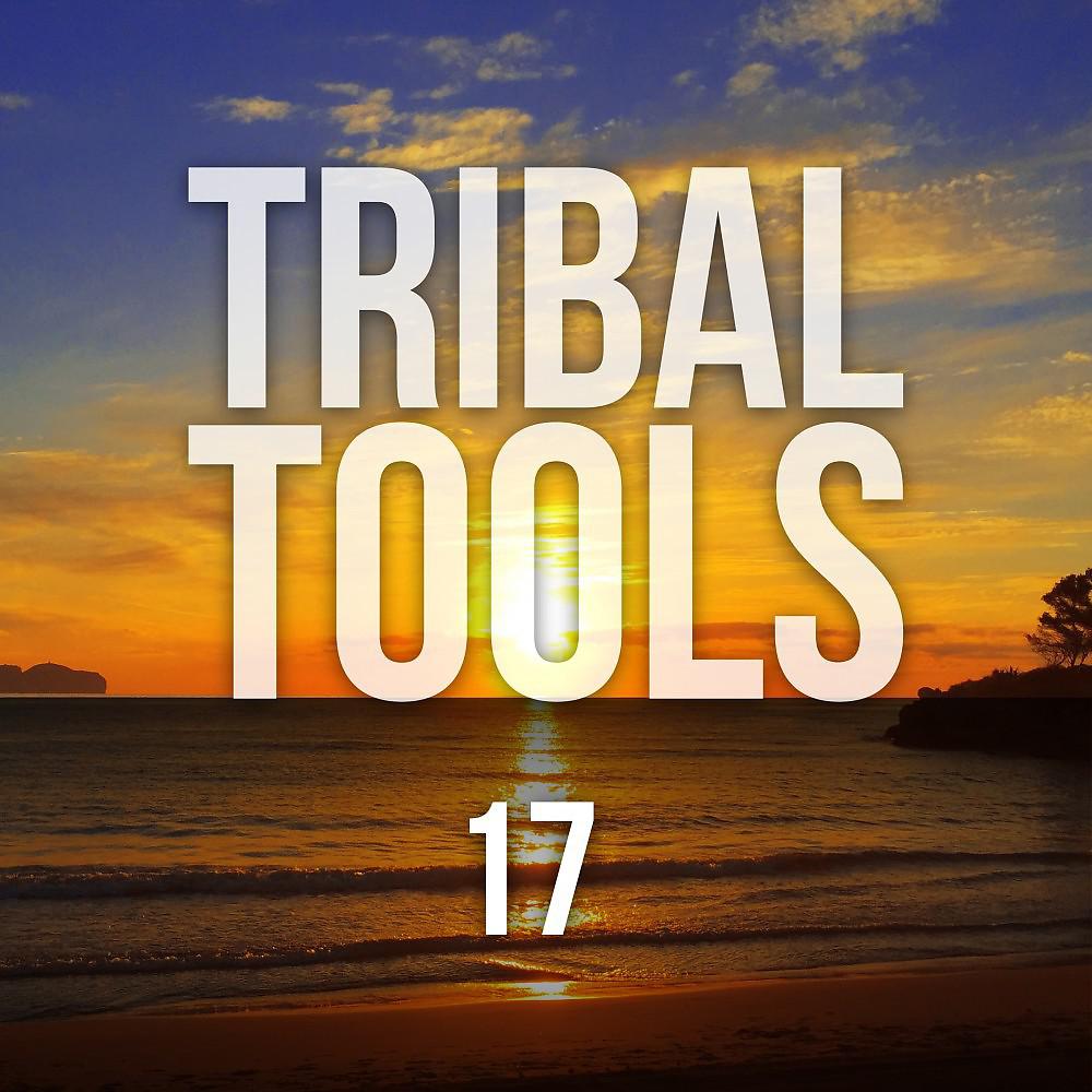 Постер альбома Tribal Tools, Vol. 17
