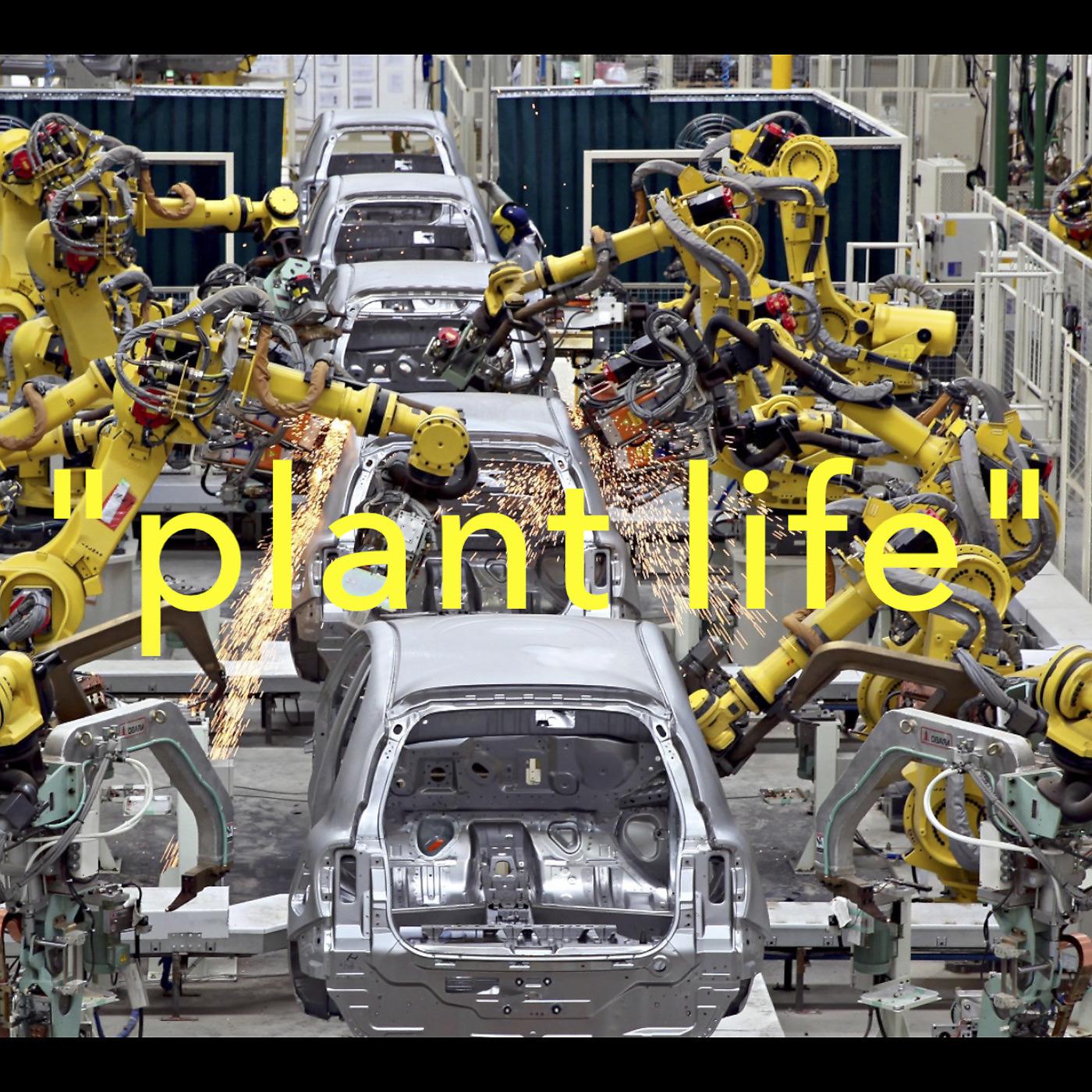 Постер альбома Plant Life