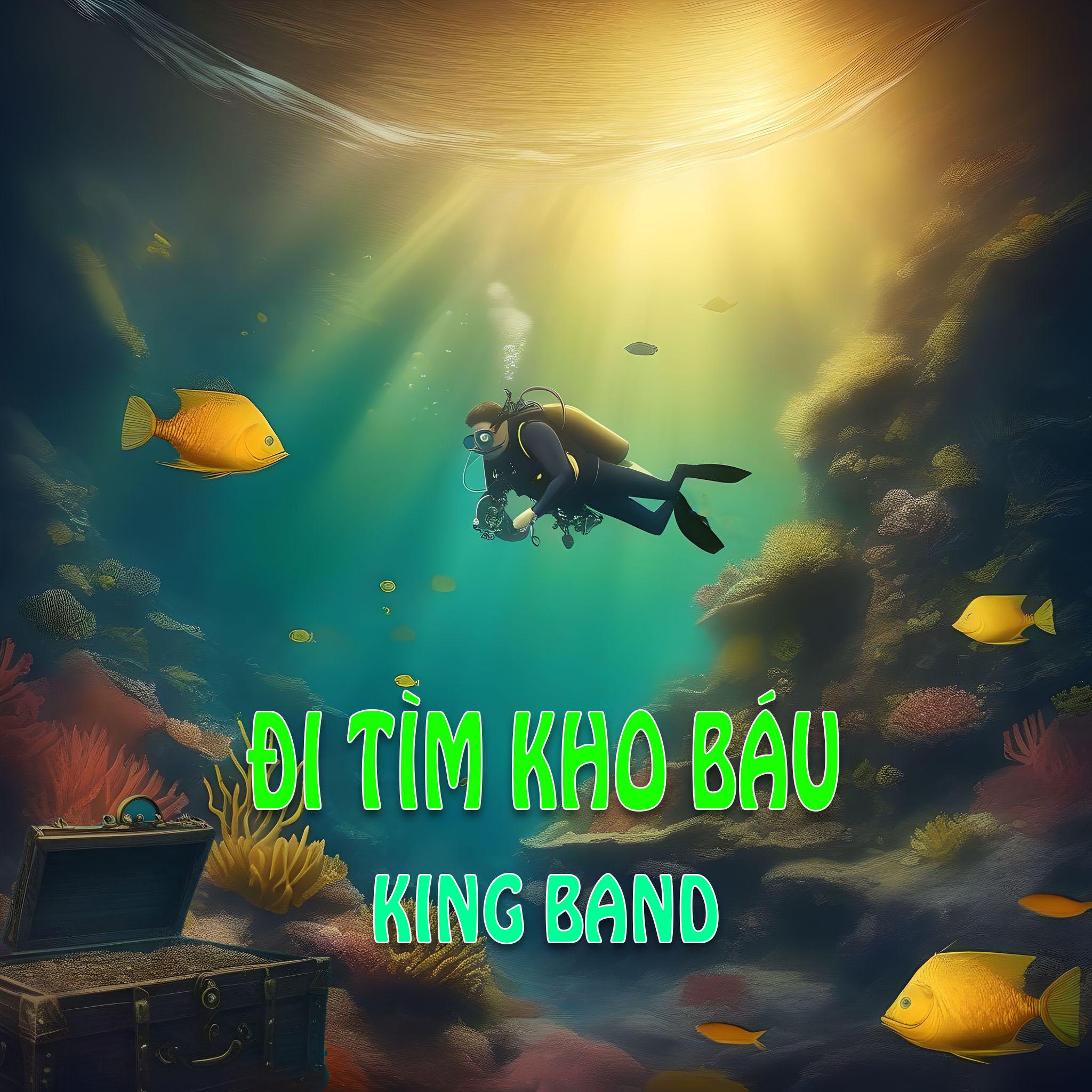 Постер альбома Đi Tìm Kho Báu