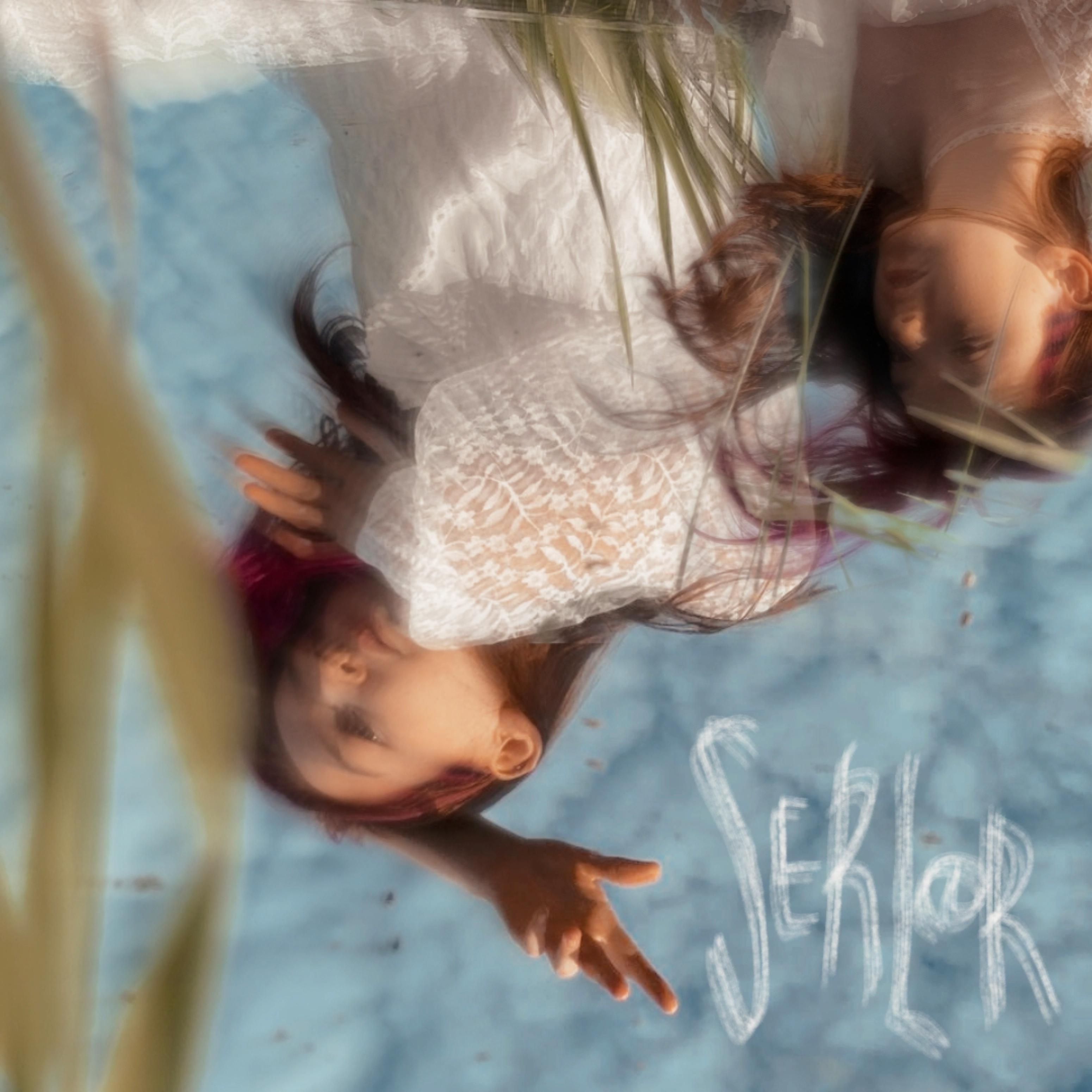 Постер альбома Serler