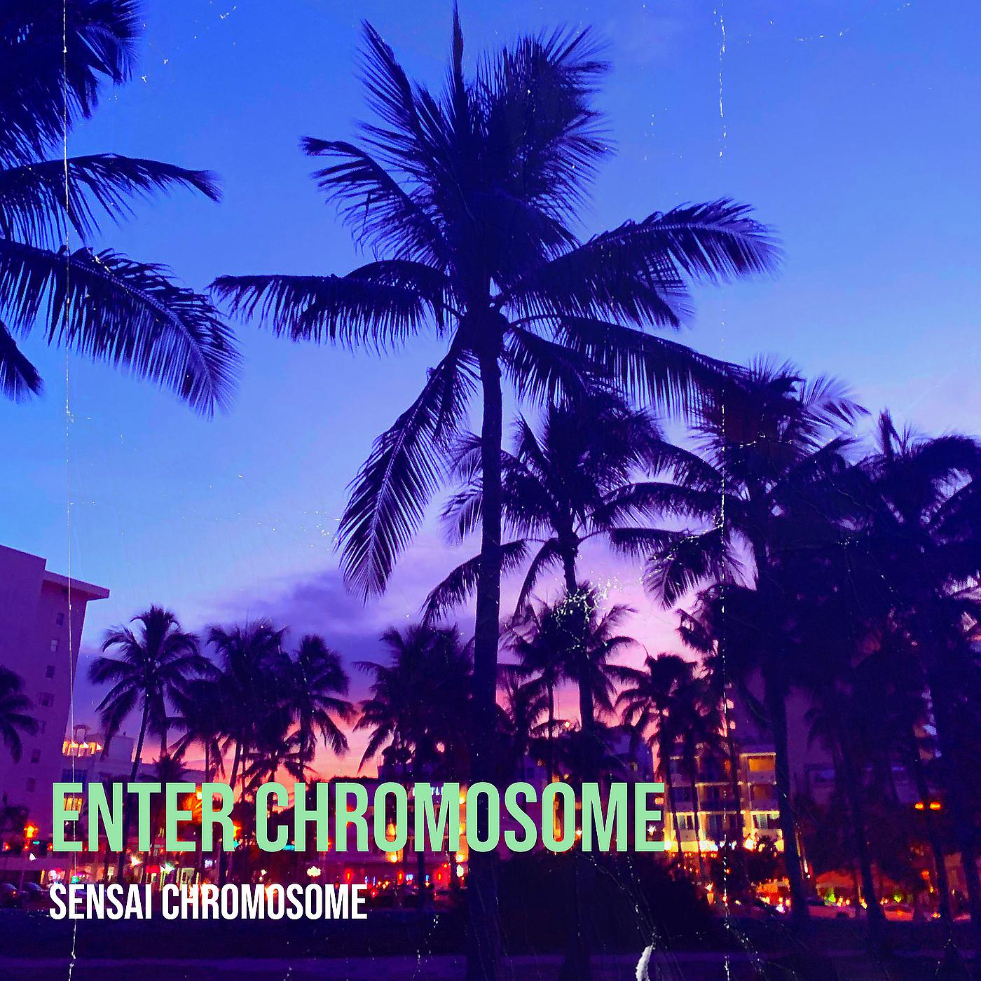 Постер альбома Enter Chromosome