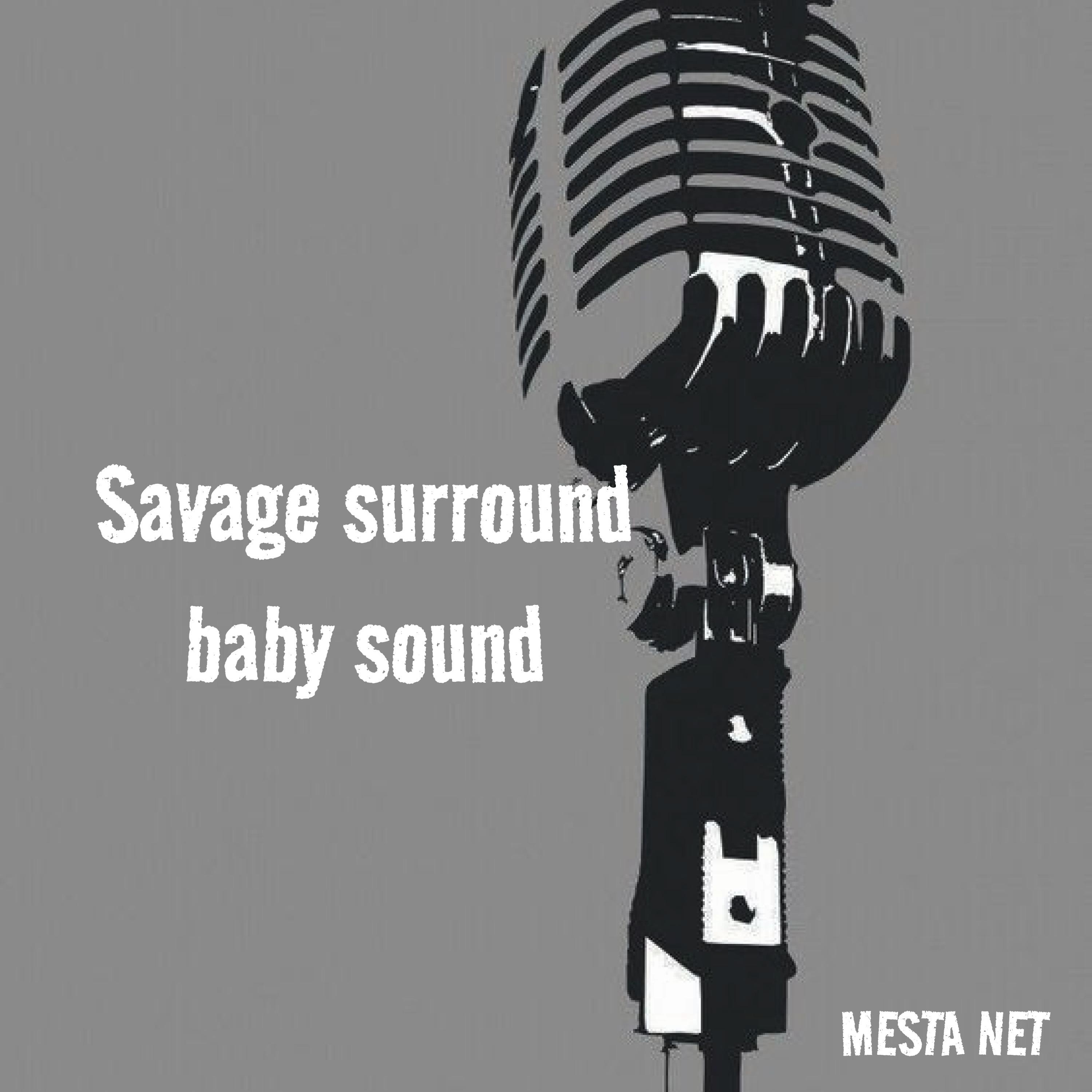Постер альбома Savage Surround Baby Sound