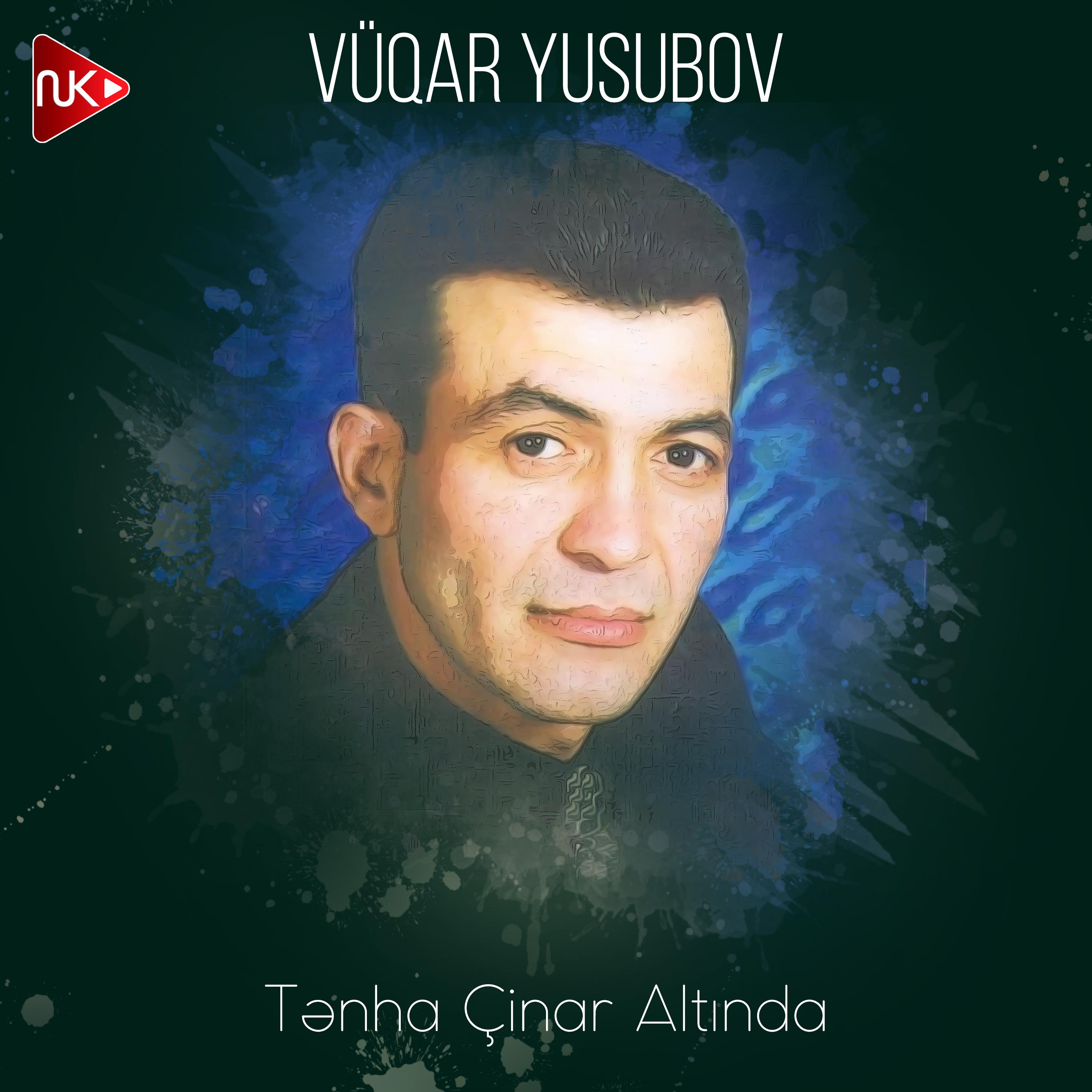 Постер альбома Tənha Çinar Altında