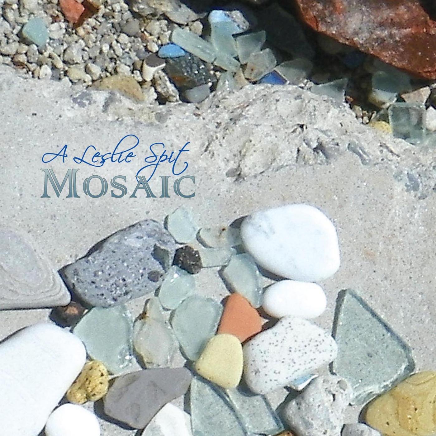 Постер альбома A Leslie Spit Mosaic