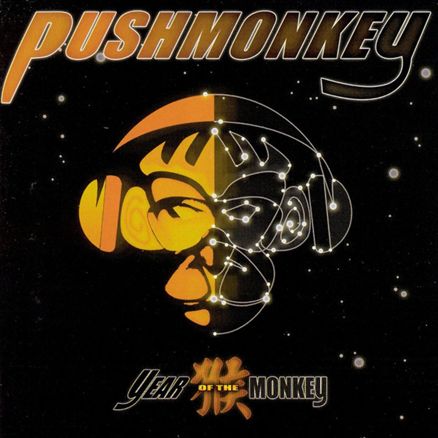 Постер альбома Year of the Monkey