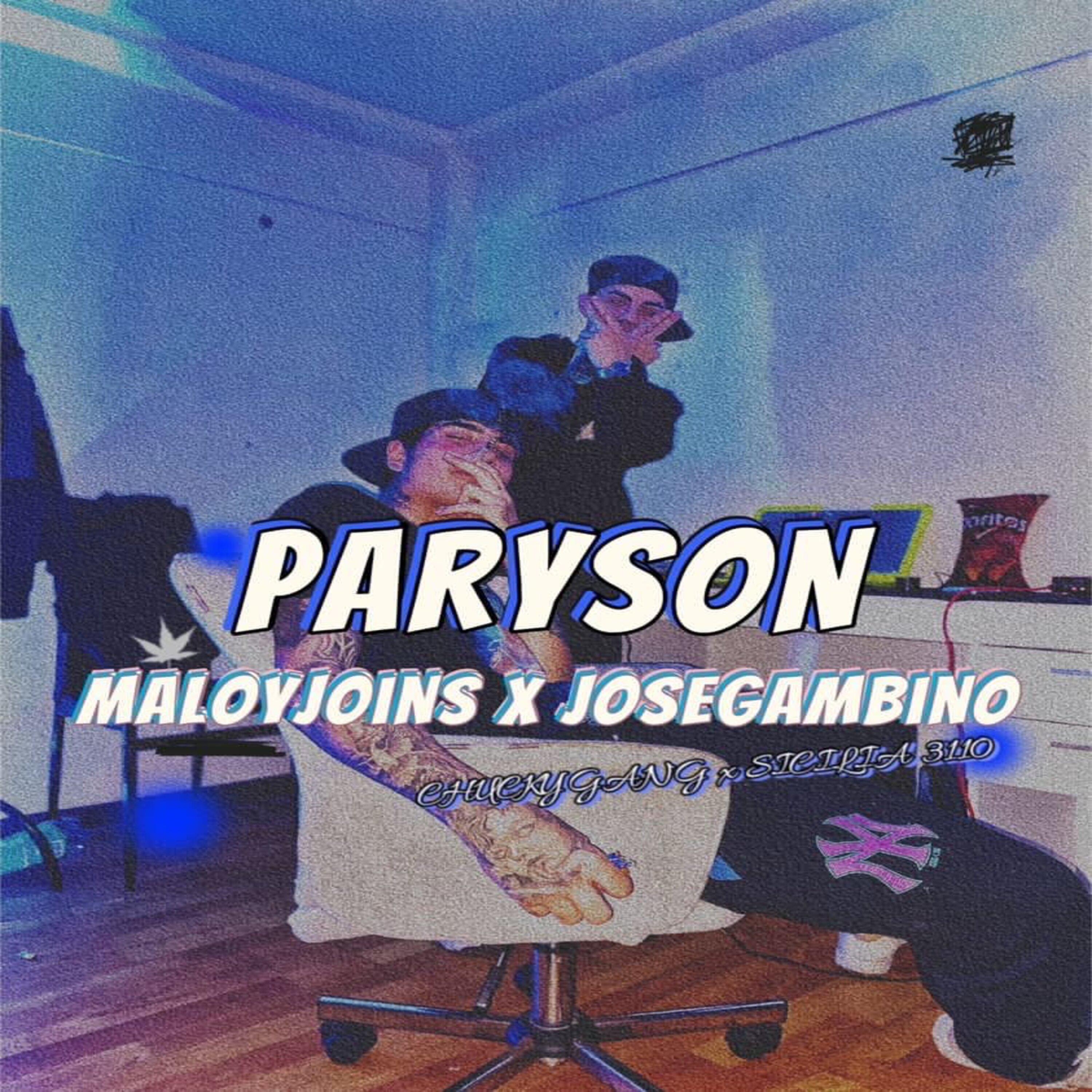 Постер альбома Paryson