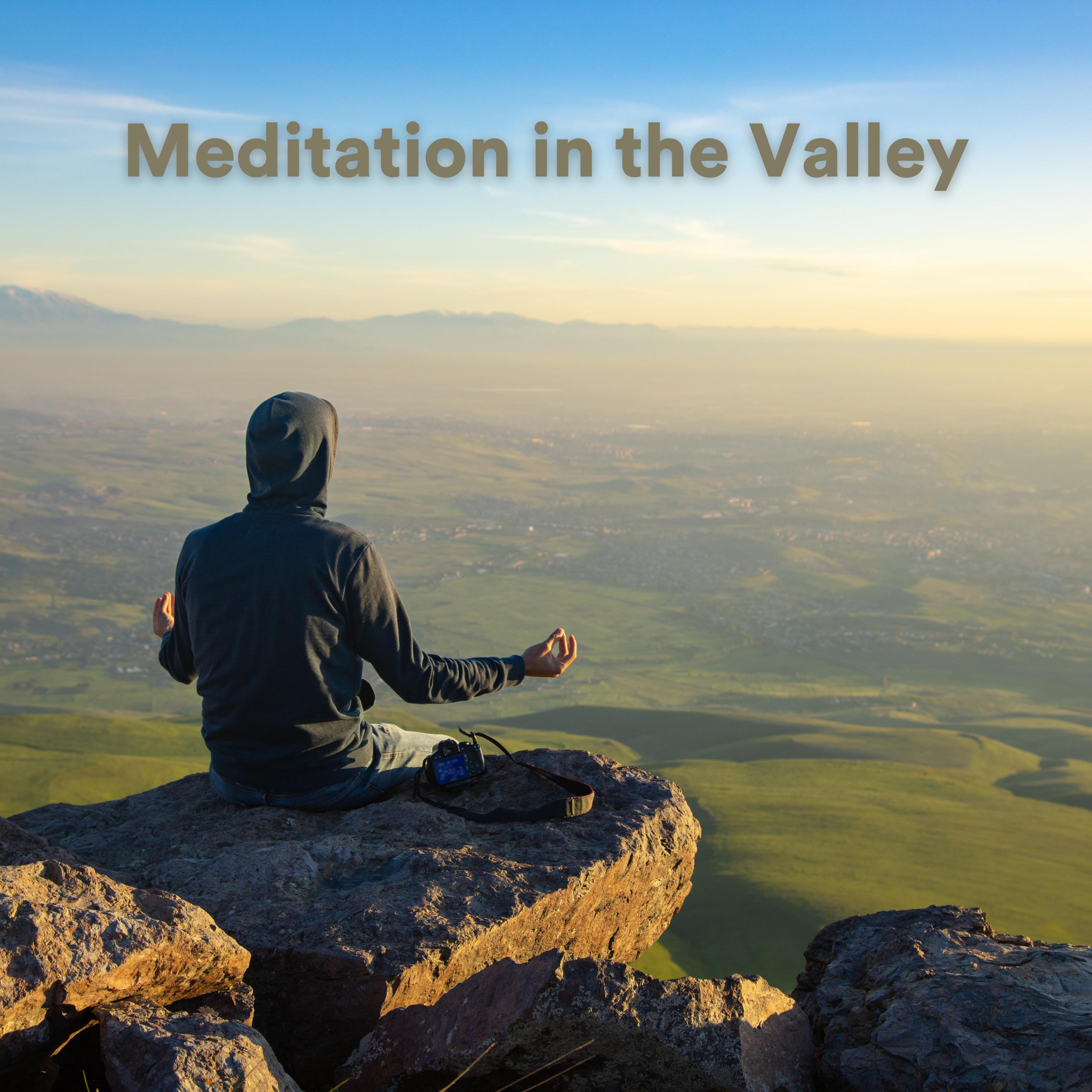 Постер альбома Meditation in the Valley