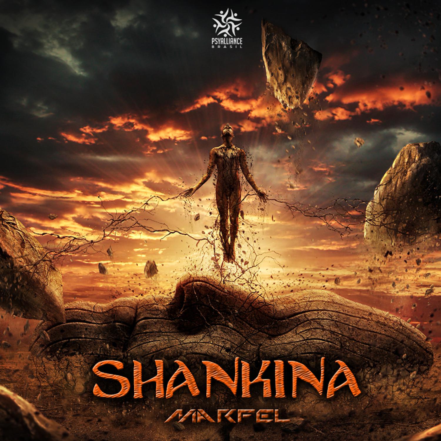 Постер альбома Shankina