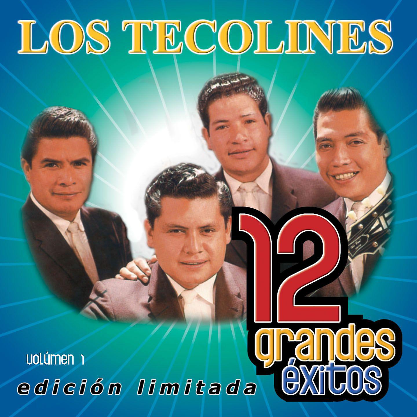 Постер альбома 12 Grandes exitos Vol. 1