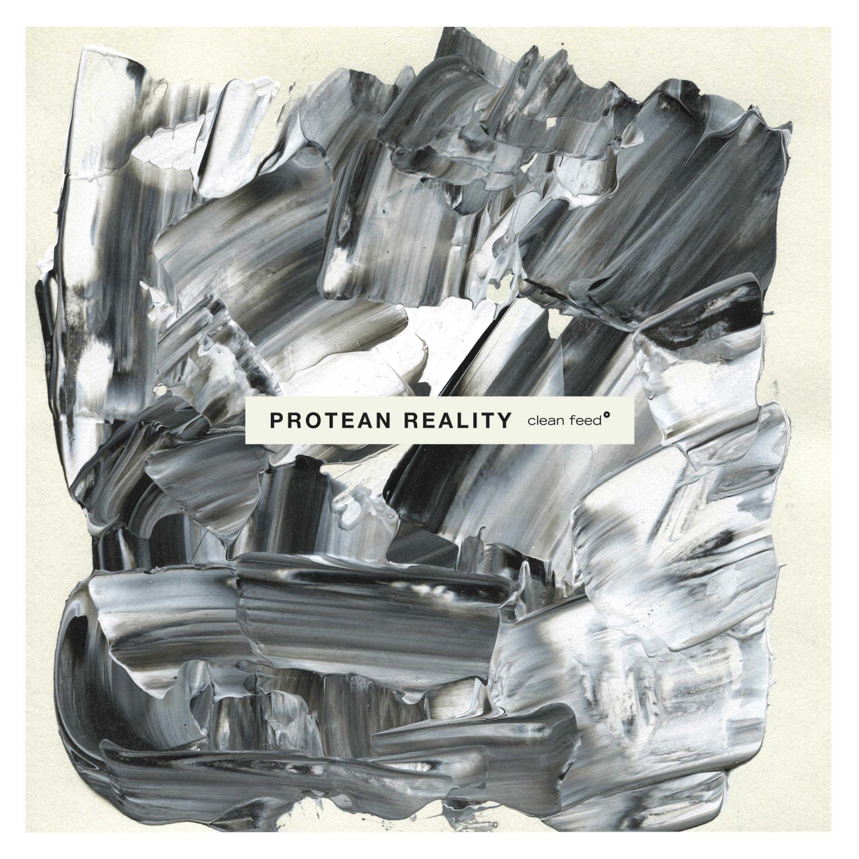 Постер альбома Protean Reality