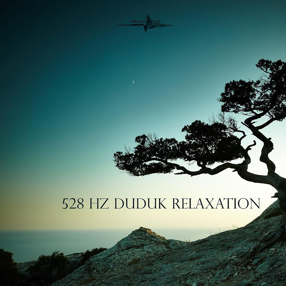 Постер альбома 528 Hz Duduk Relaxation