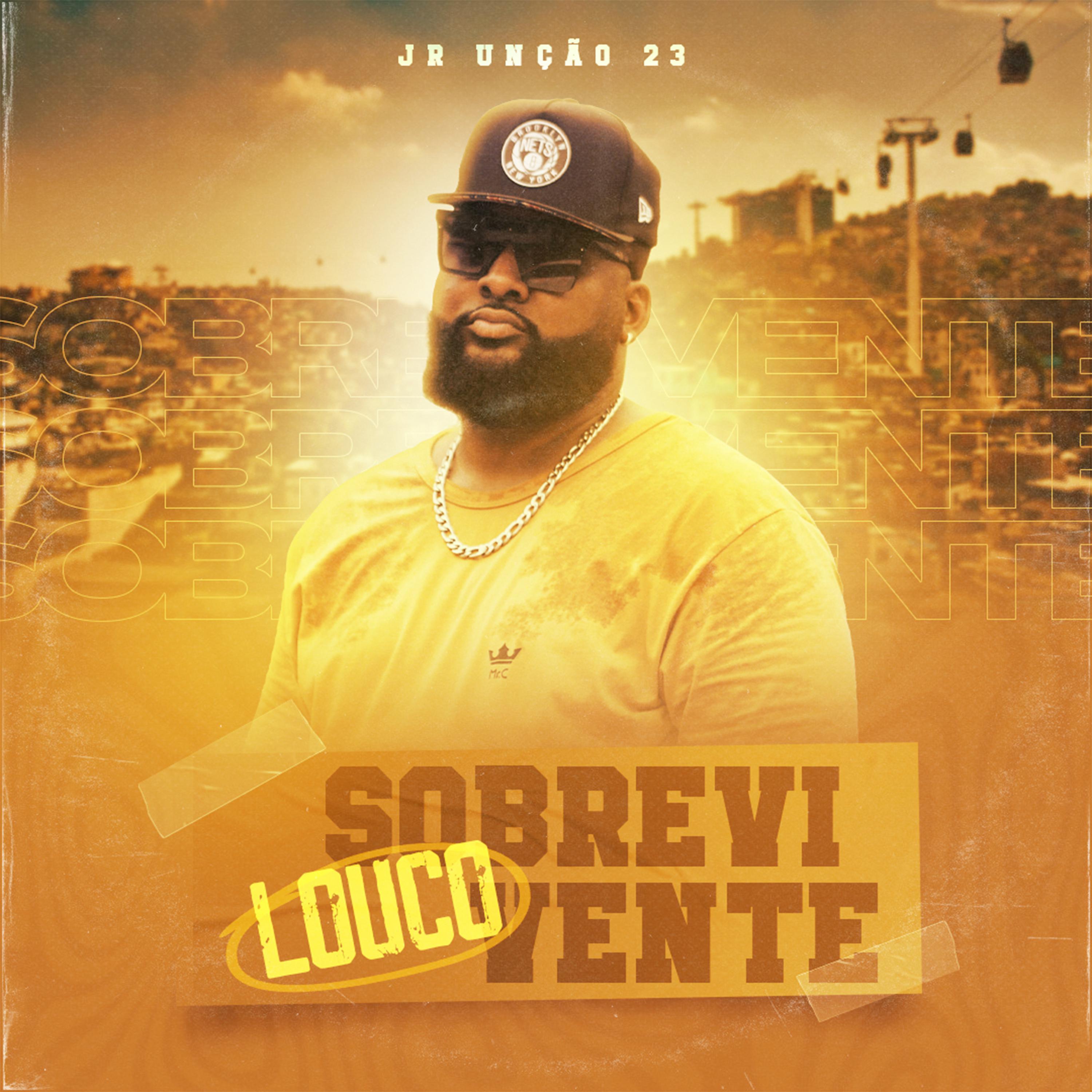 Постер альбома Louco Sobrevivente