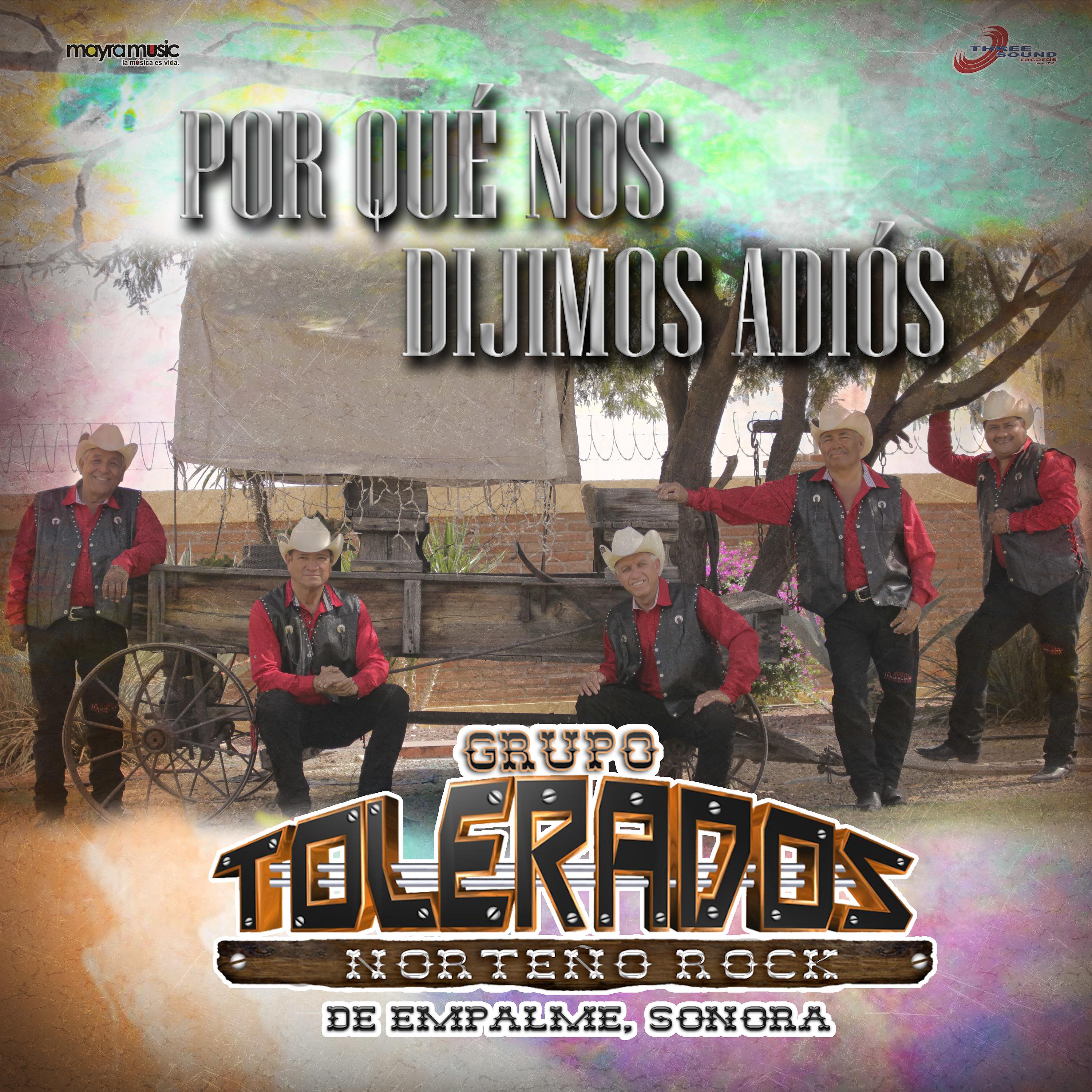 Постер альбома Por Qué Nos Dijimos Adiós