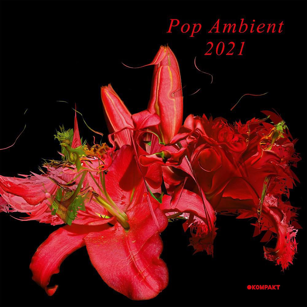 Постер альбома Pop Ambient 2021