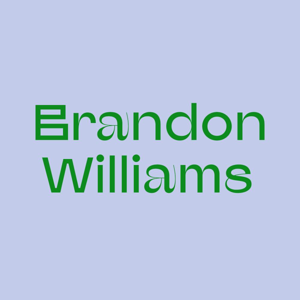 Постер альбома Brandon Williams