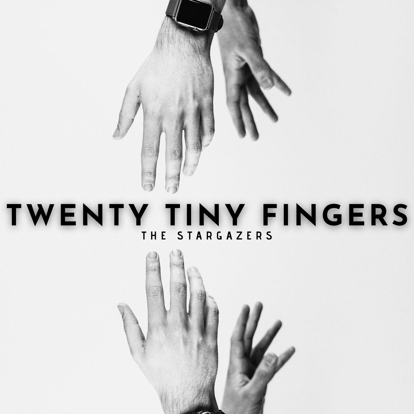 Постер альбома Twenty Tiny Fingers - The Stargazers