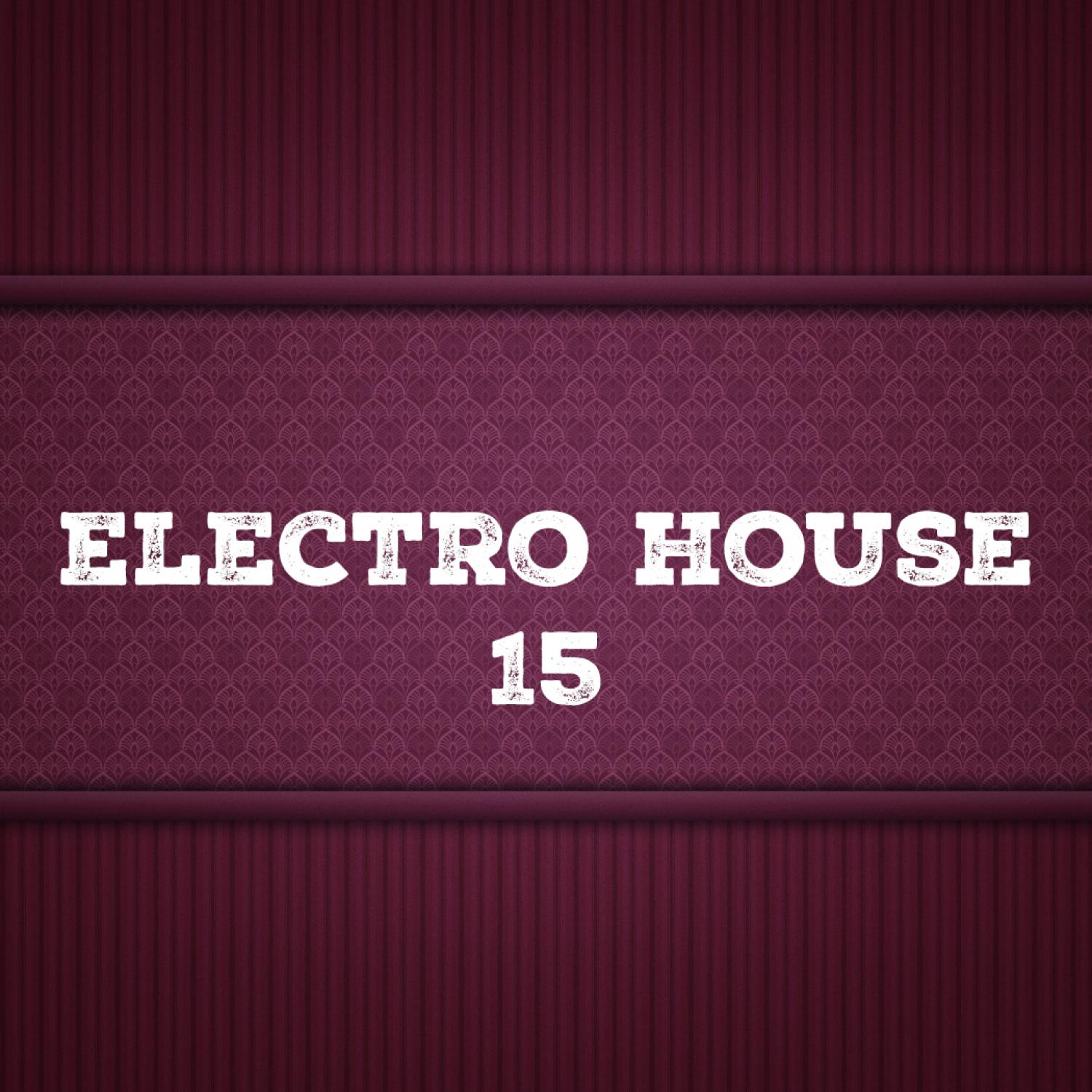 Постер альбома Electro House, Vol. 15