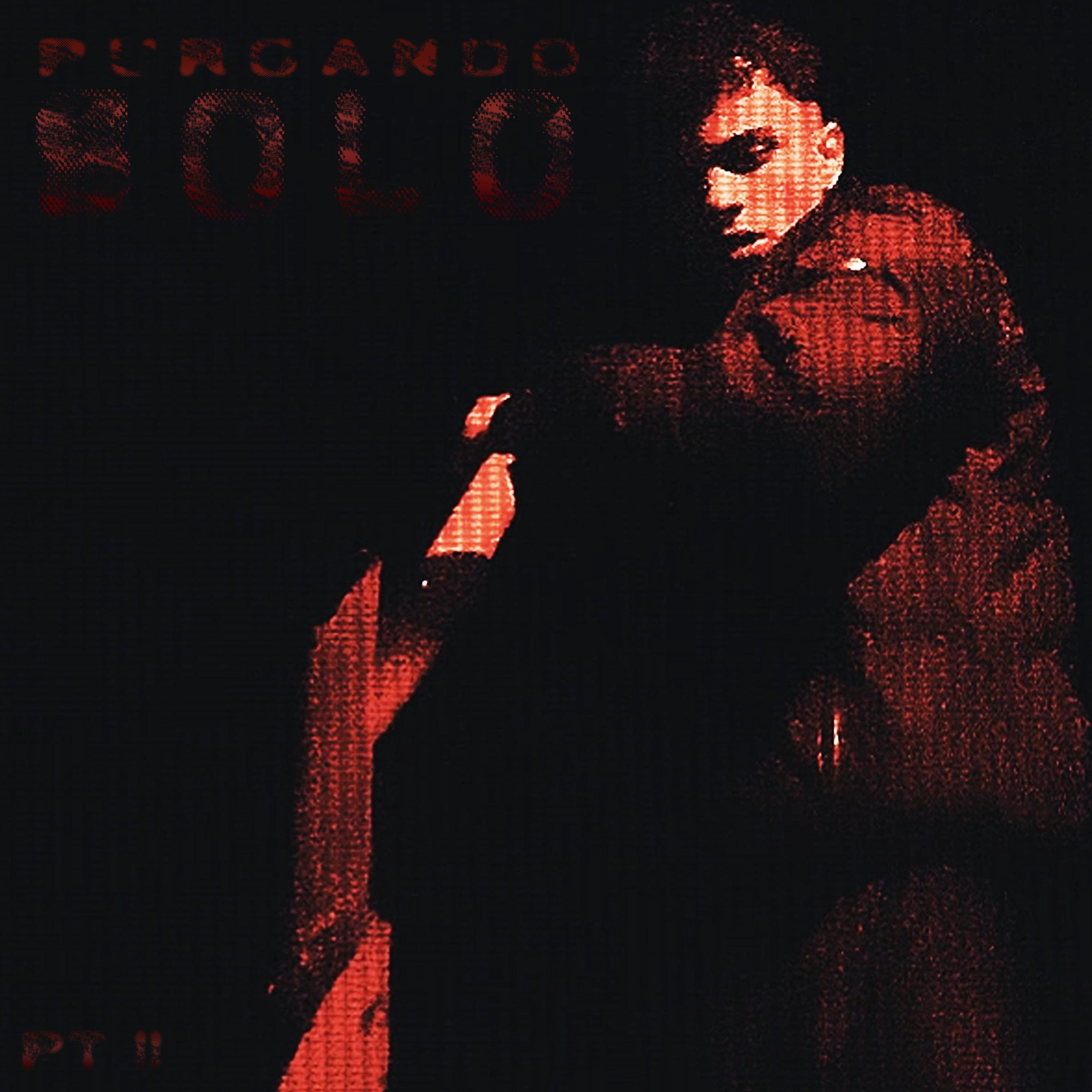 Постер альбома Purgando Solo, Pt. 2