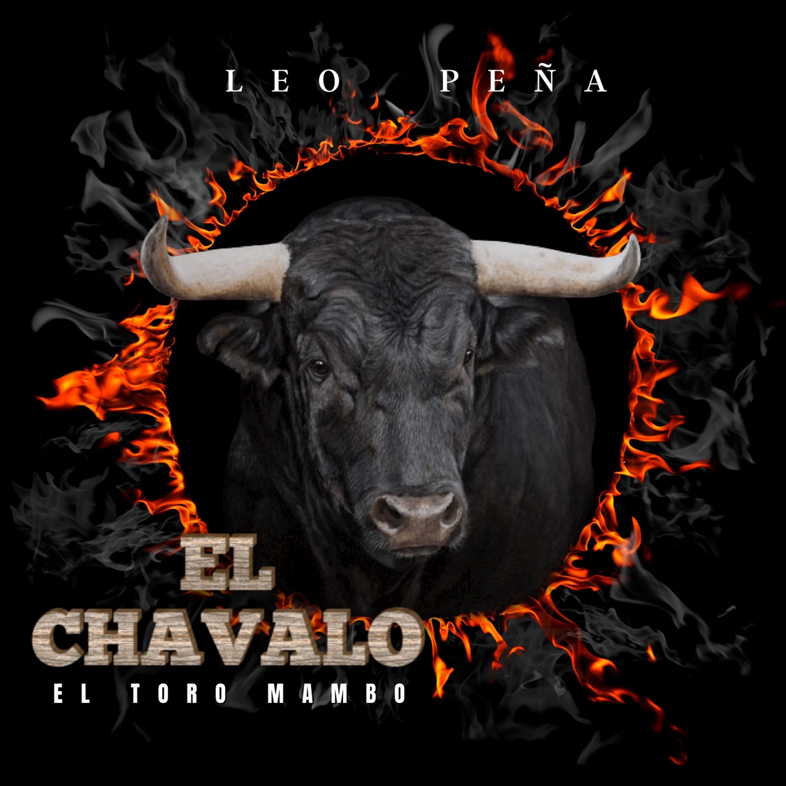 Постер альбома El Chavalo (Toro Mambo)