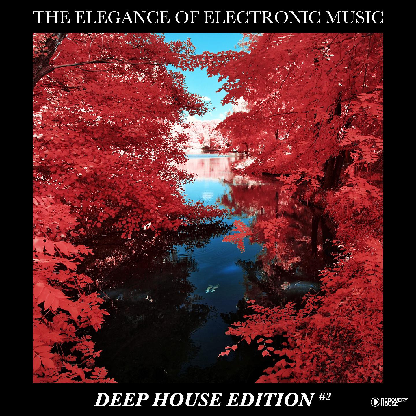 Постер альбома The Elegance of Electronic Music - Deep House Edition #2