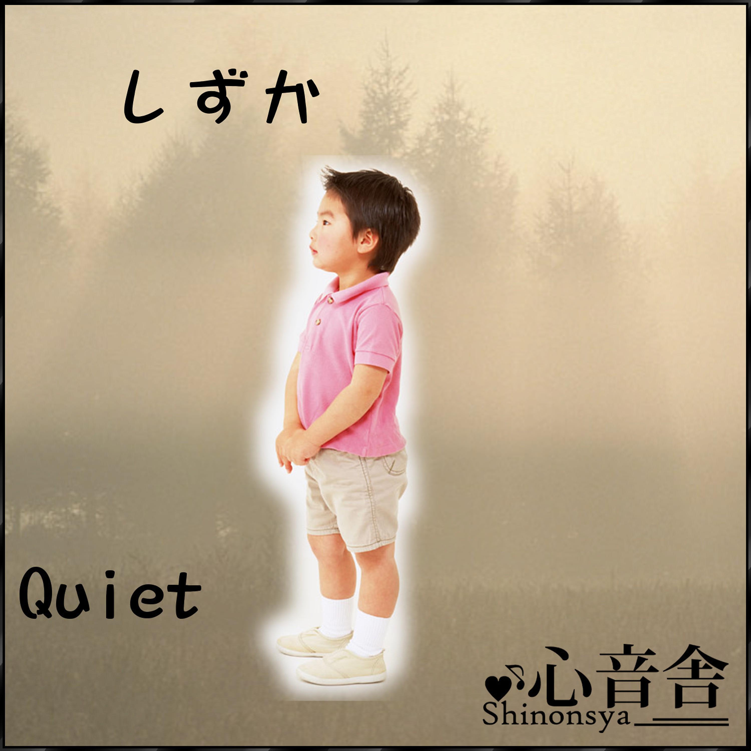 Постер альбома Quiet Music Therapy to Get to the Quiet Children