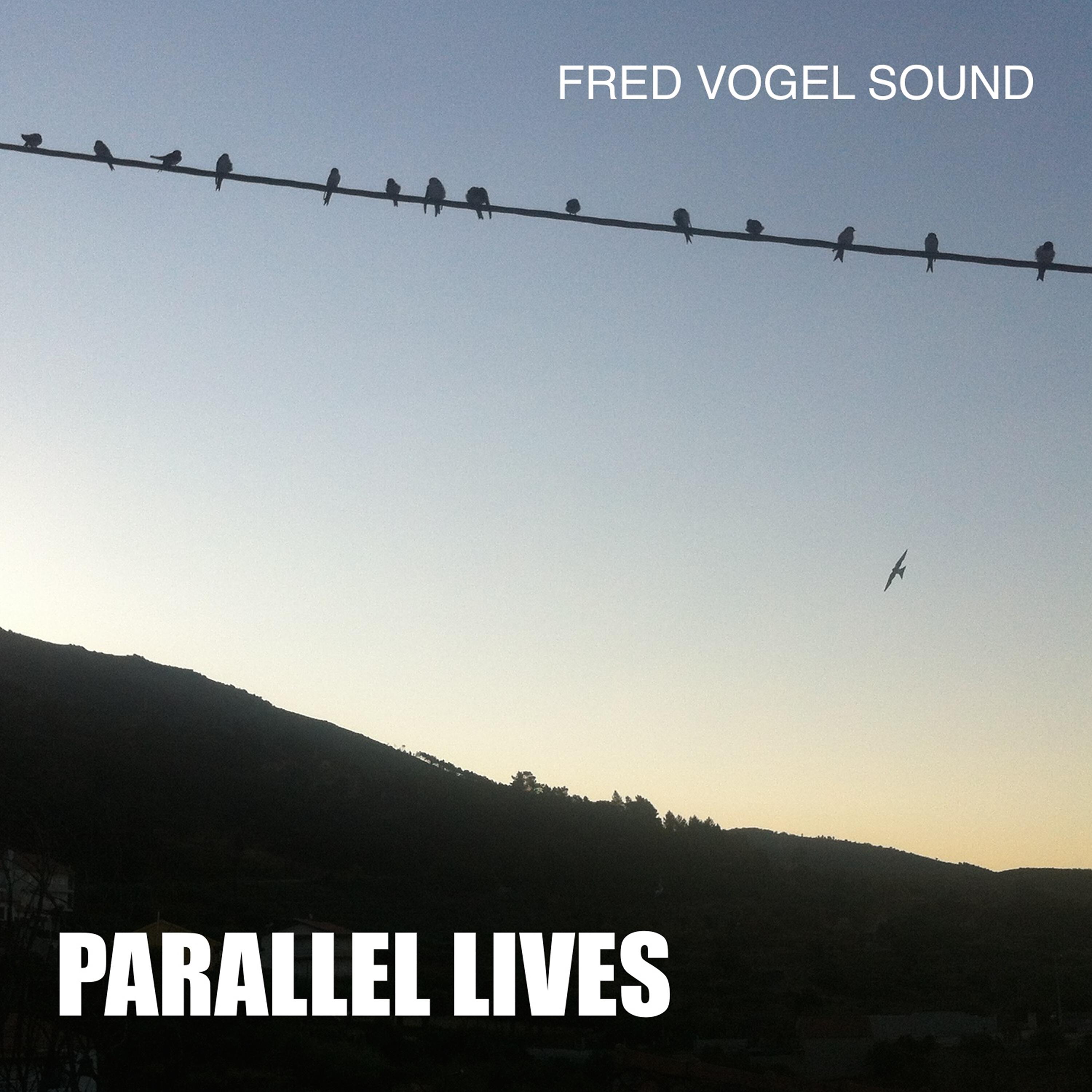 Постер альбома Parallel Lives