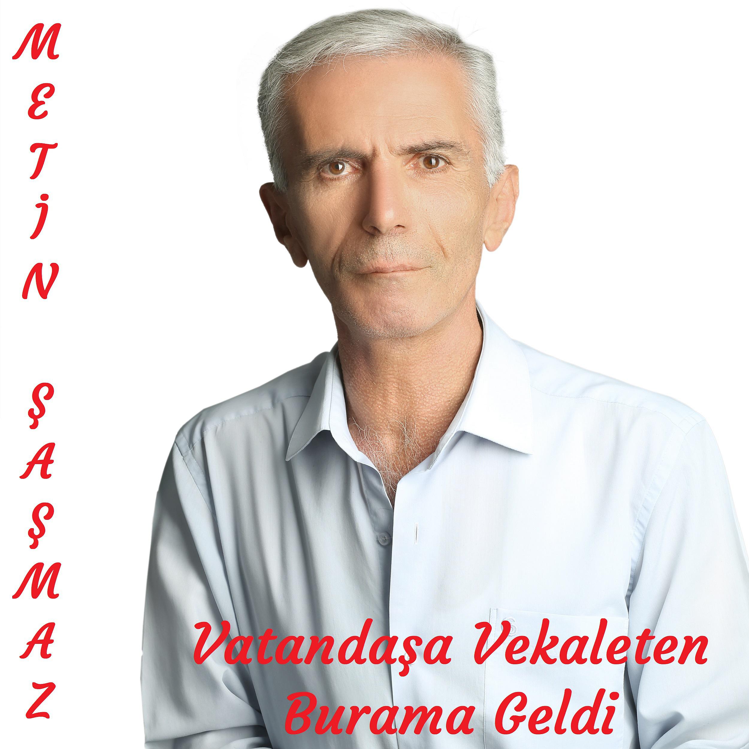 Постер альбома Vatandaşa Vekaleten / Burama Geldi