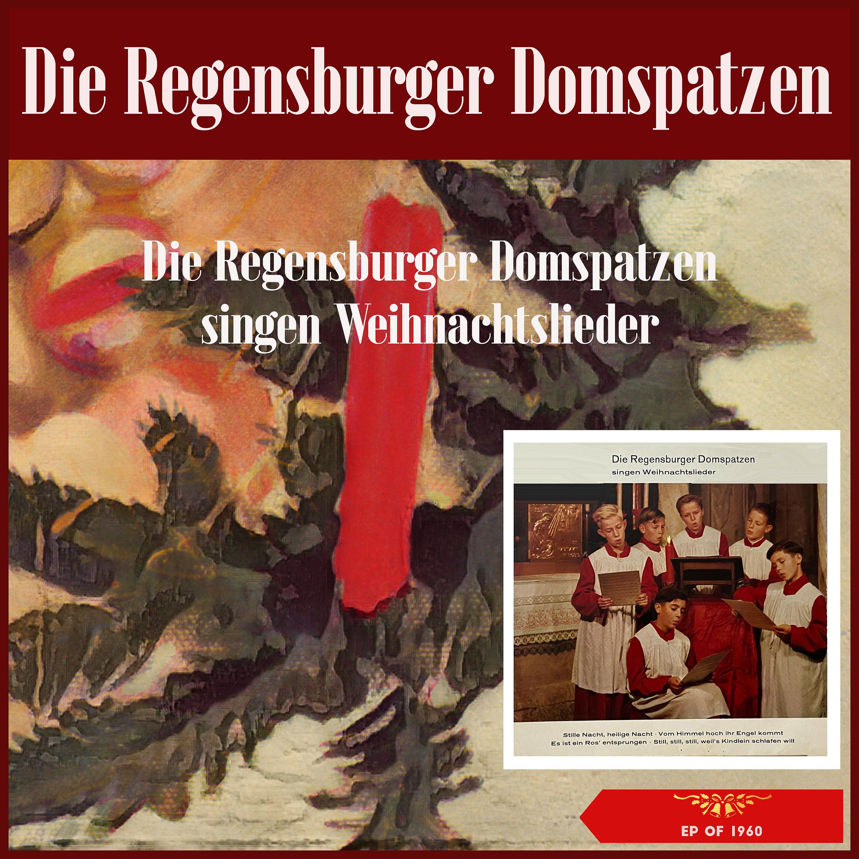Постер альбома Die Regensburger Domspatzen singen Weihnachtslieder
