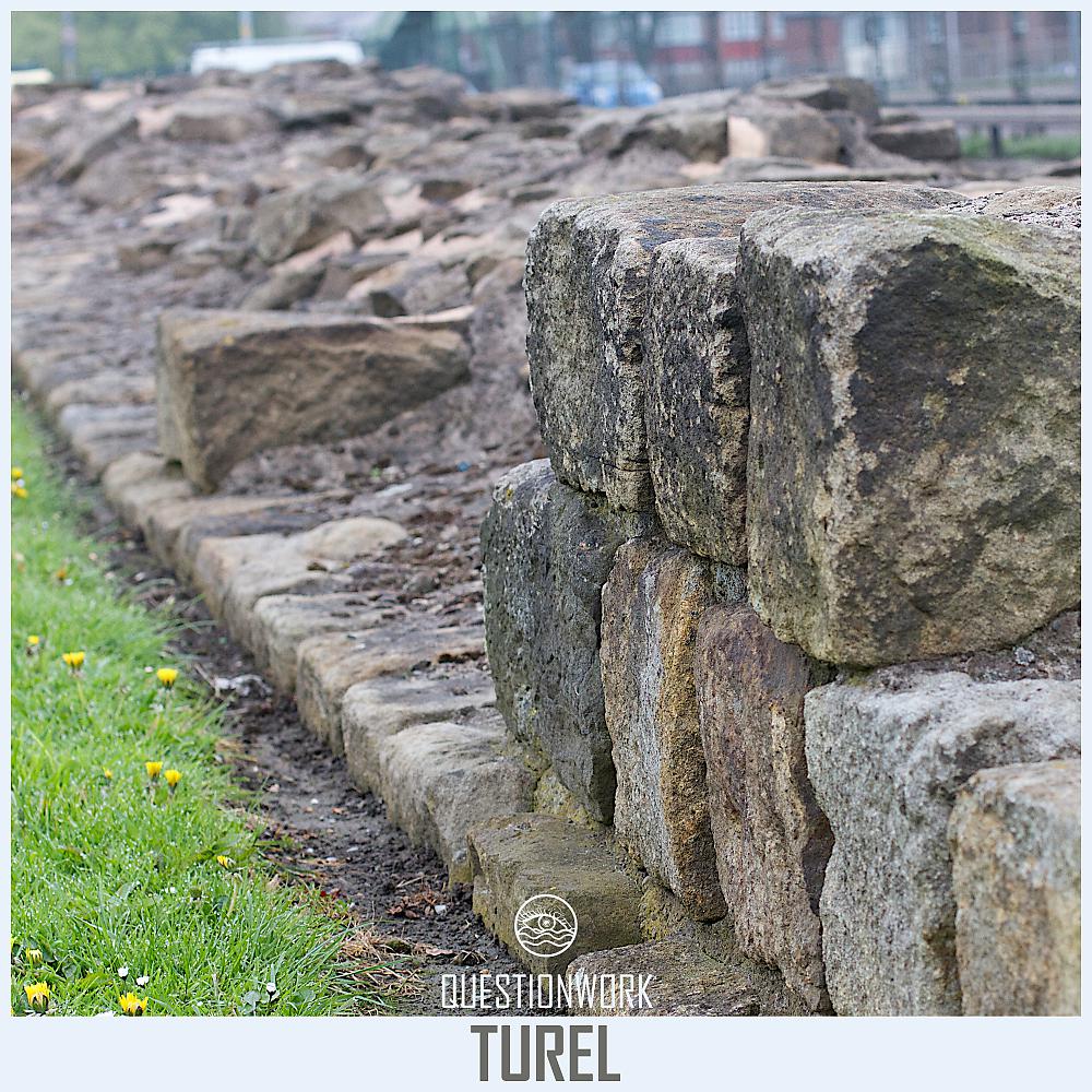 Постер альбома Turel