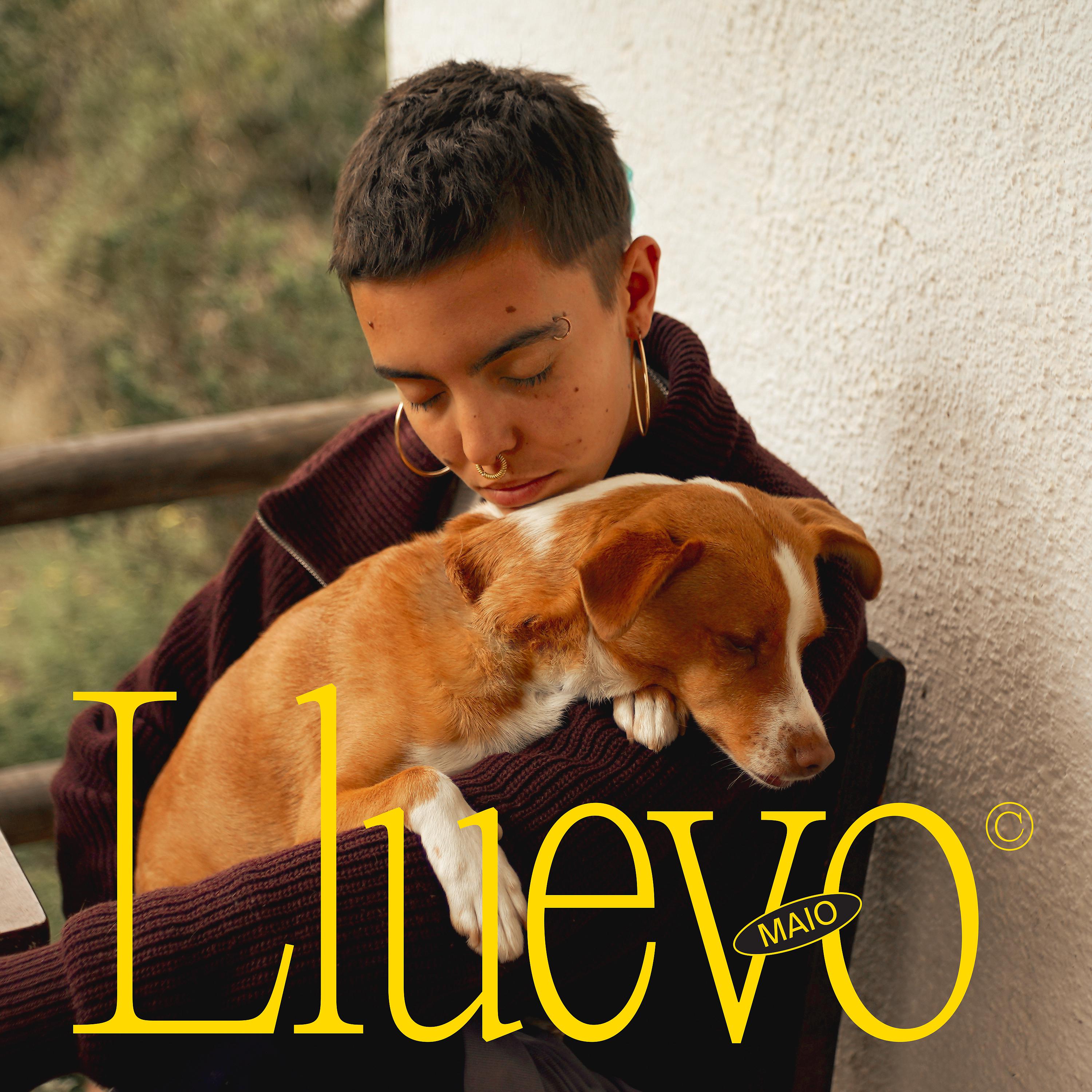 Постер альбома Lluevo