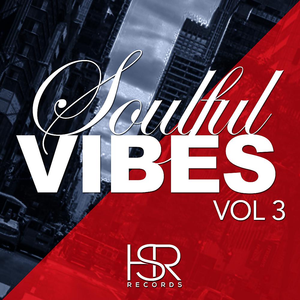 Постер альбома Soulful Vibes, Vol. 3