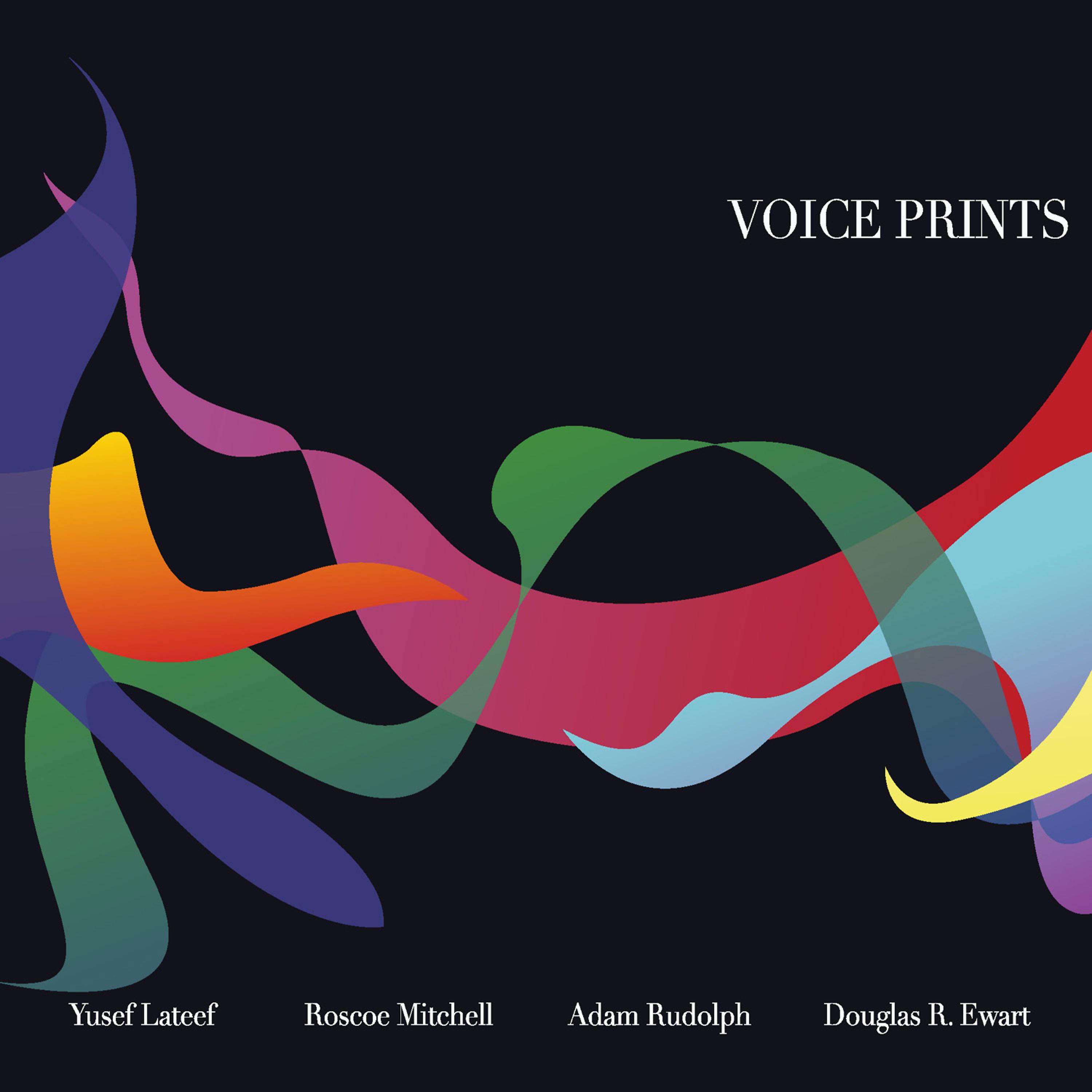 Постер альбома Voice Prints