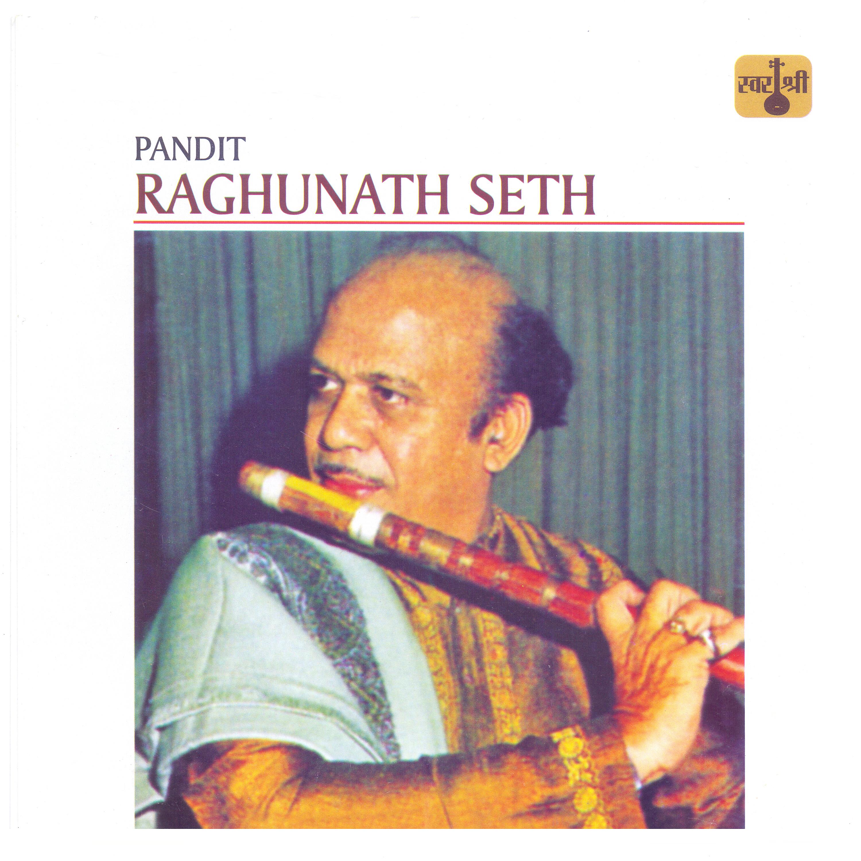 Постер альбома Pandit Raghunath Seth