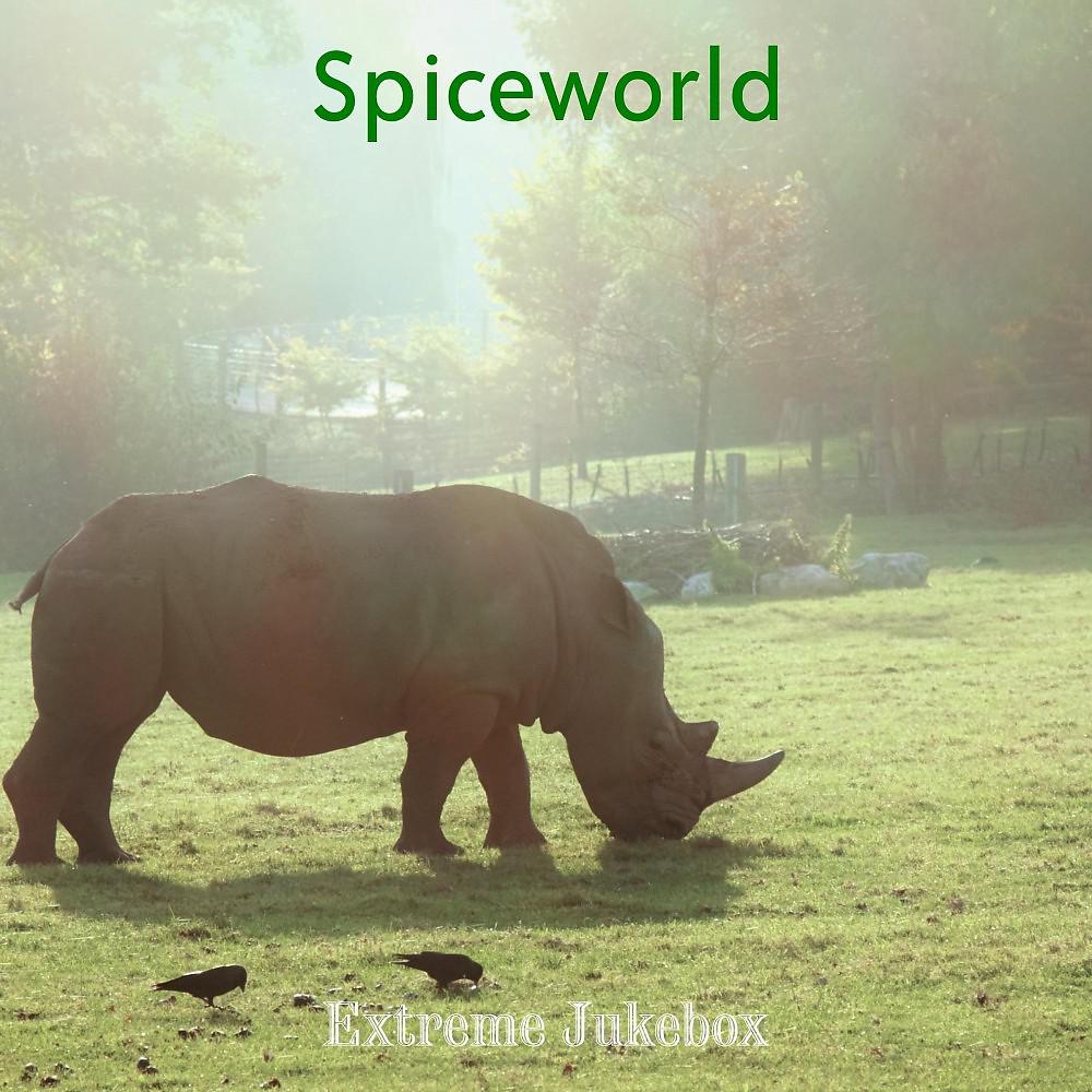Постер альбома Spiceworld