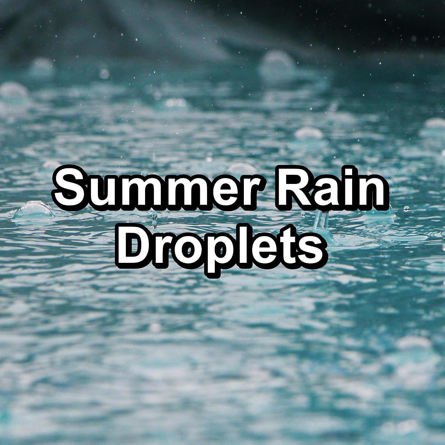 Постер альбома Summer Rain Droplets