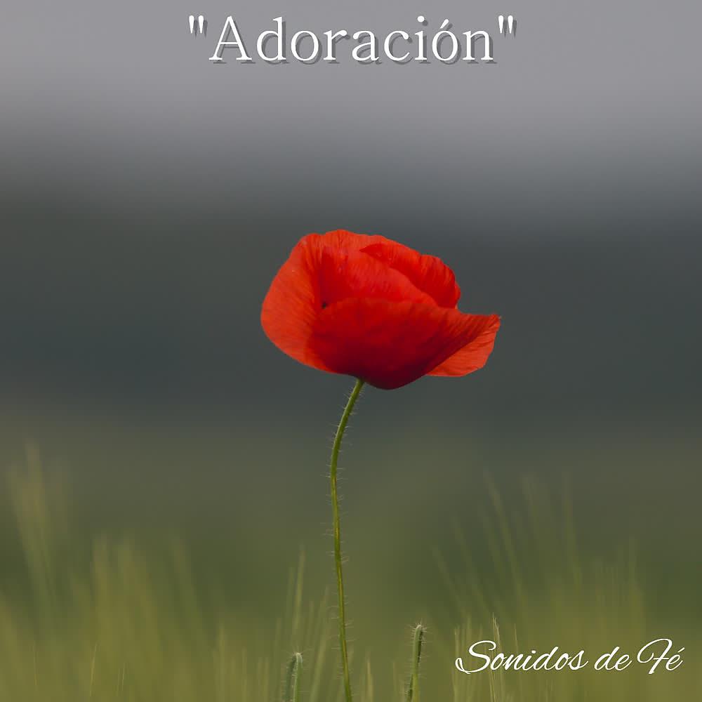 Постер альбома Adoración