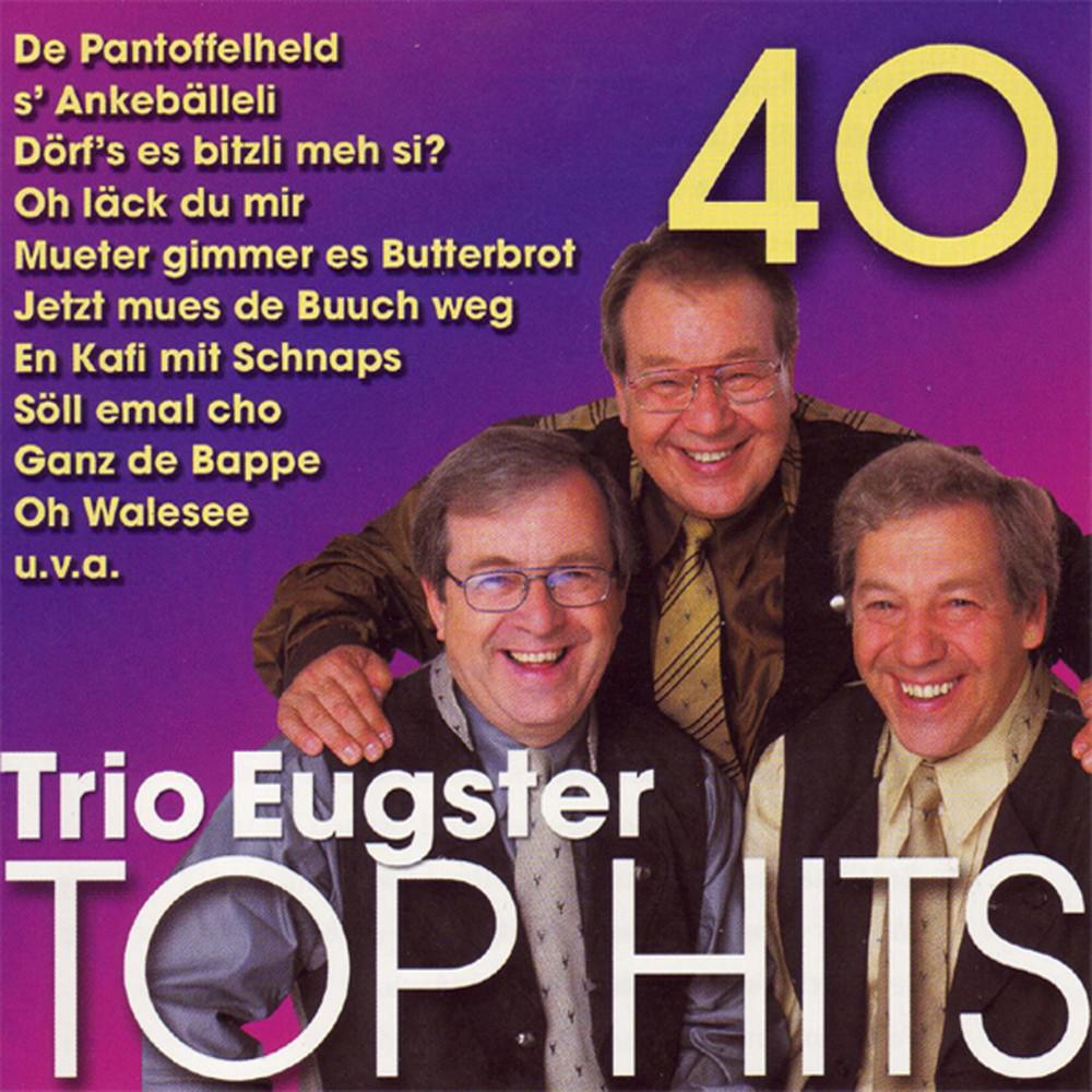 Постер альбома 40 Trio Eugster Top Hits