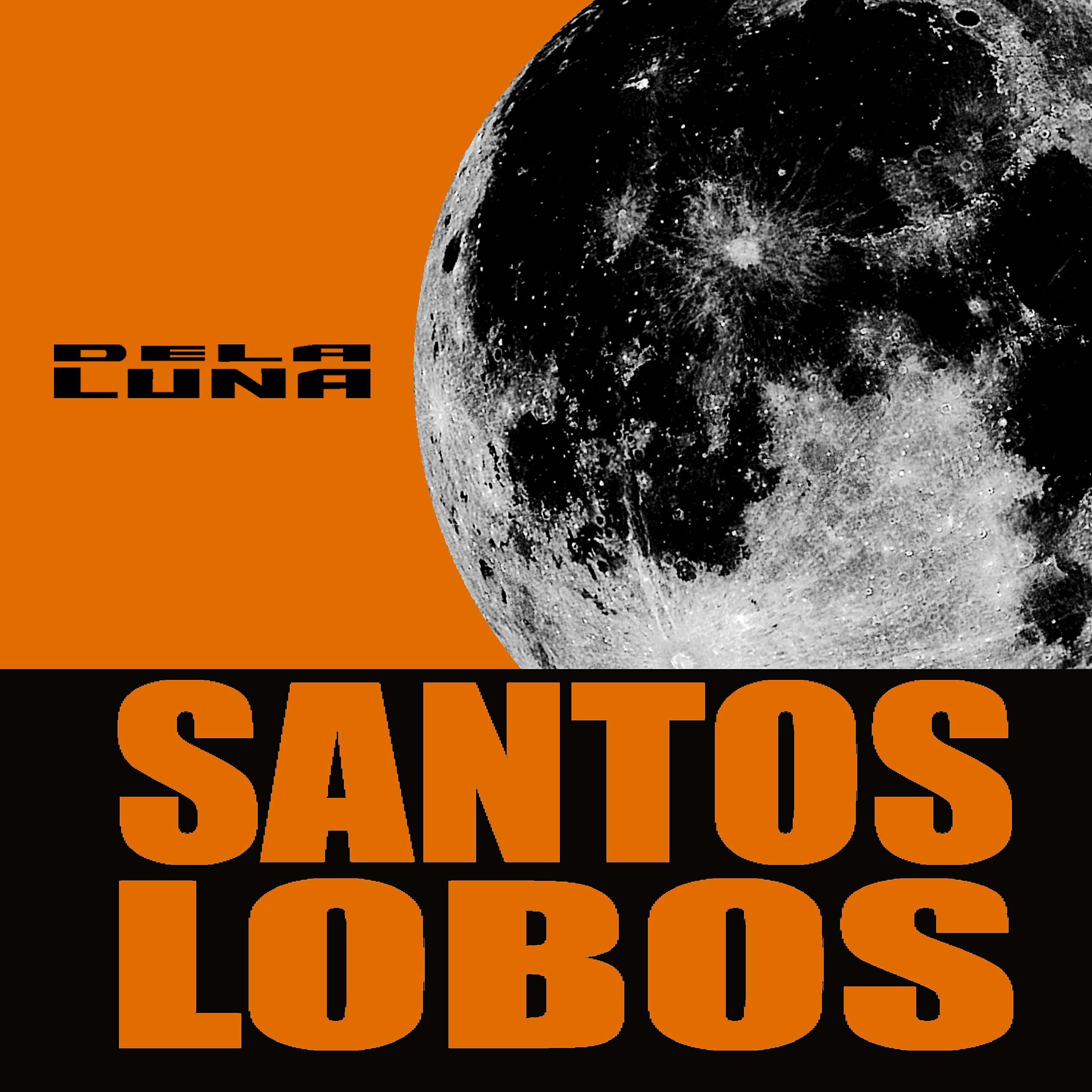 Постер альбома Santos Lobos