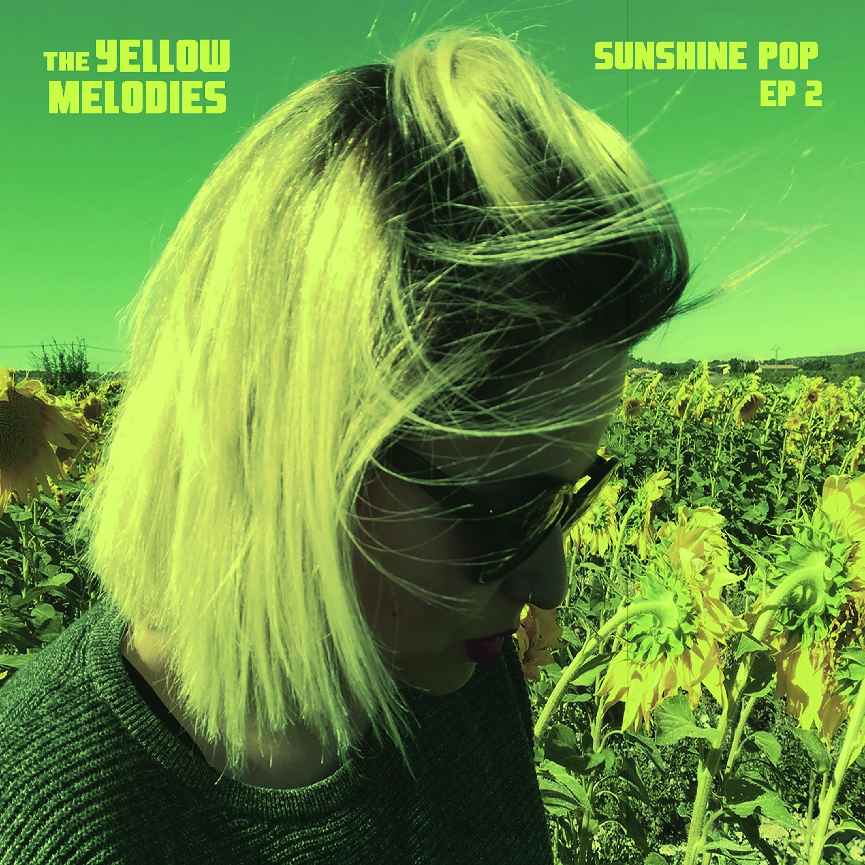 Постер альбома Sunshine Pop, Vol. 2