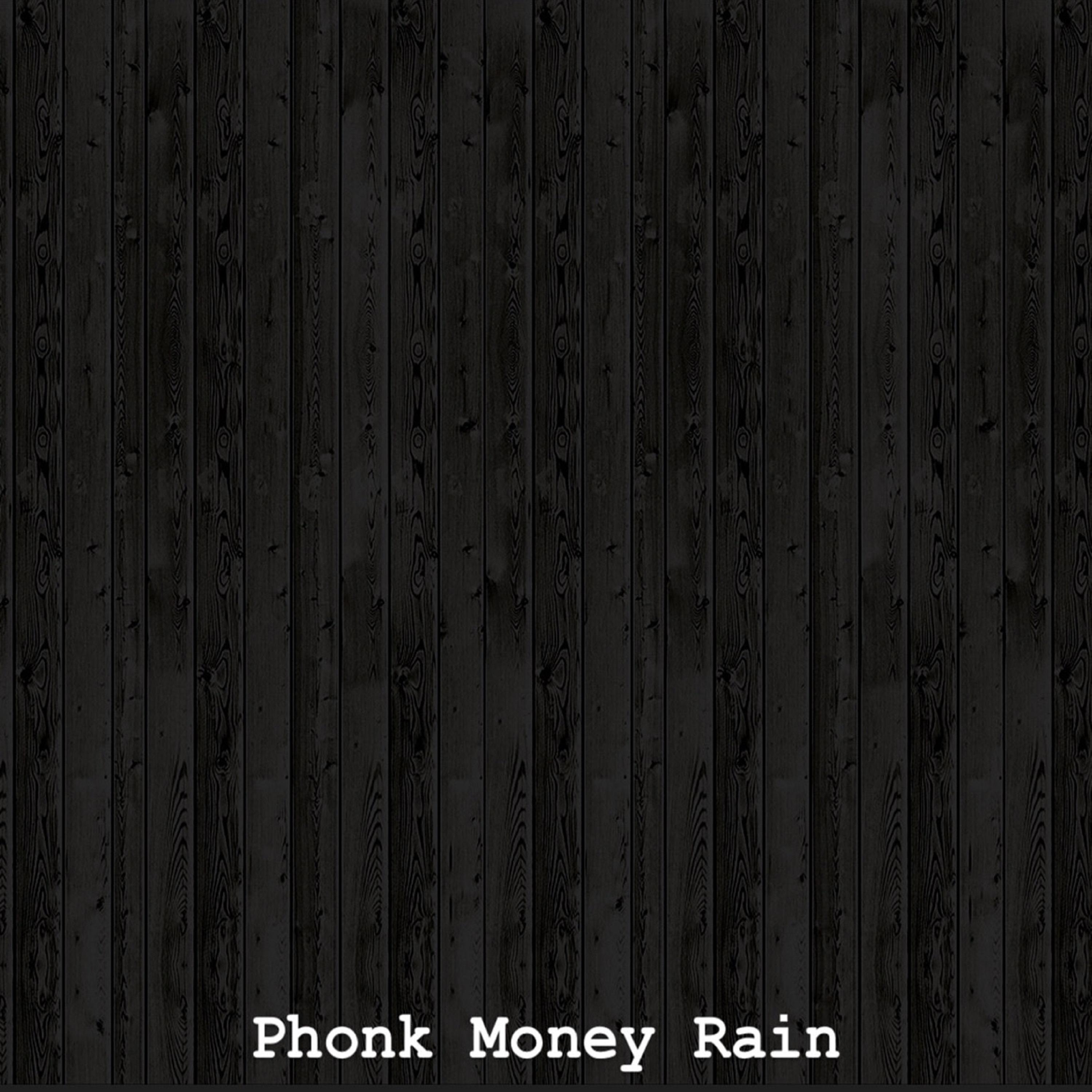 Постер альбома Phonk Money Rain