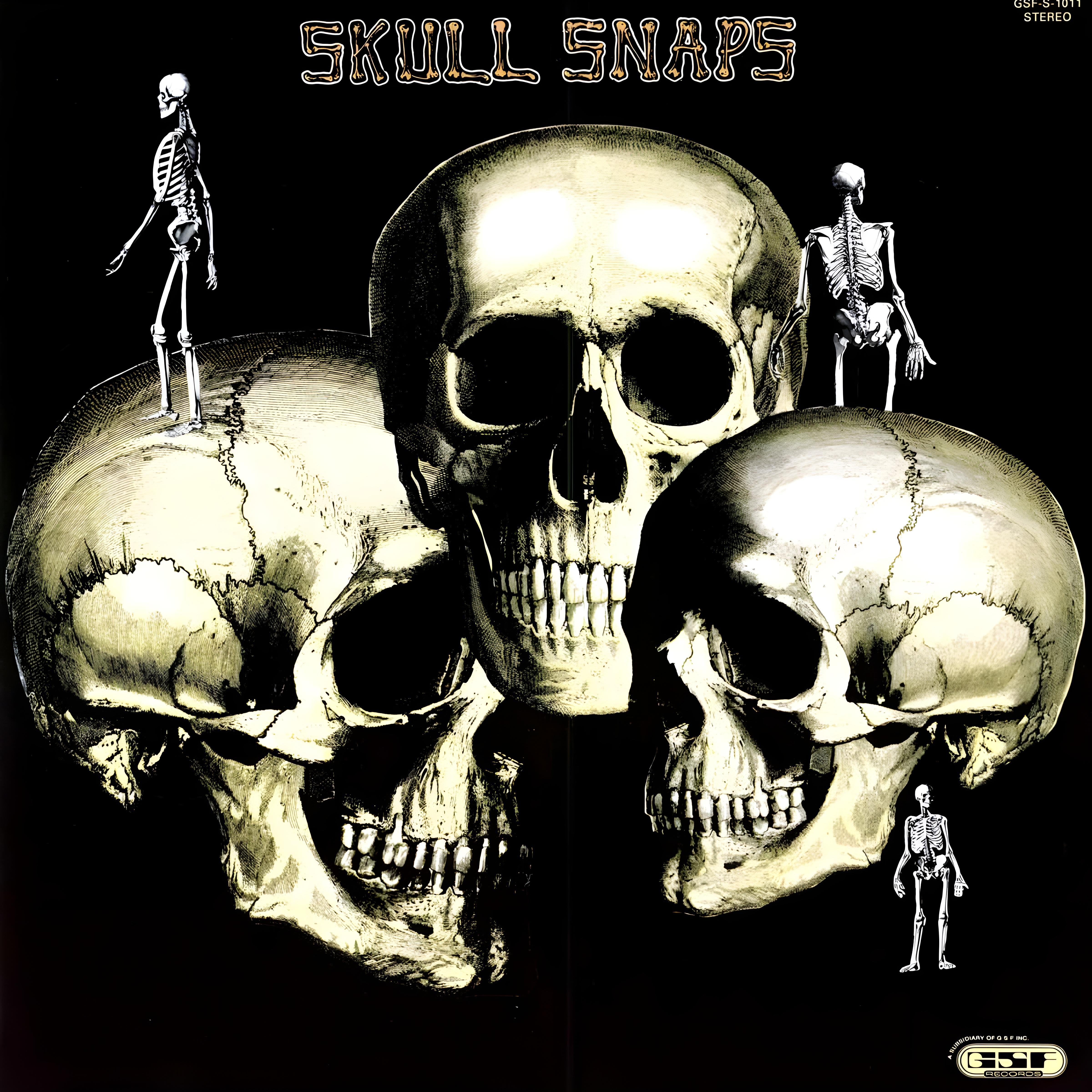 Постер альбома Skull Snaps