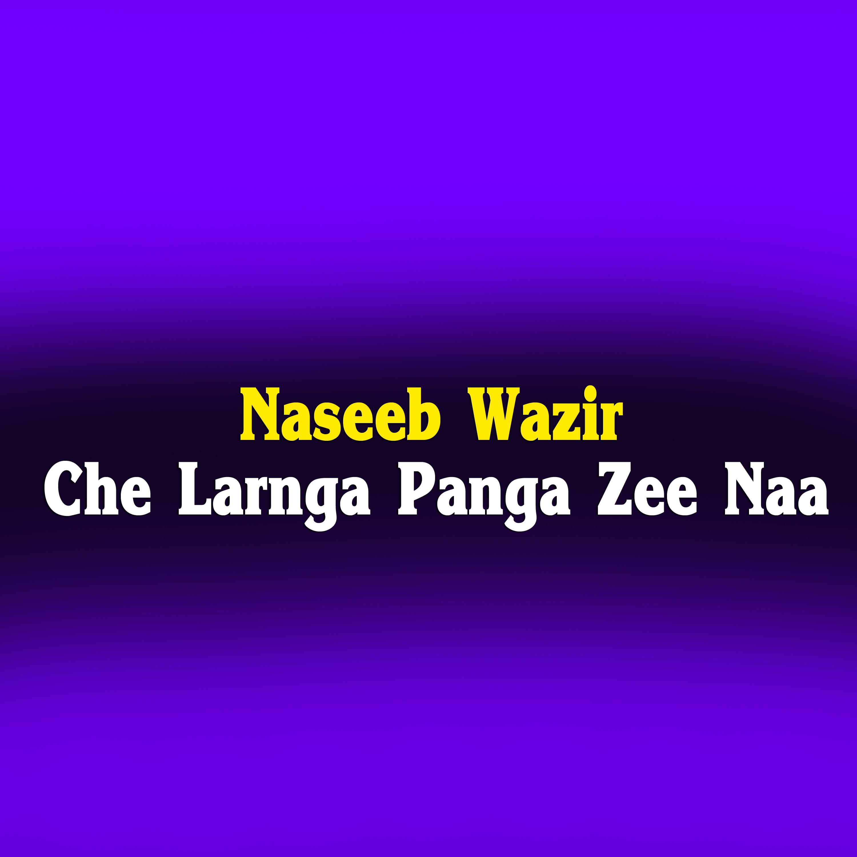 Постер альбома Che Larnga Panga Zee Naa